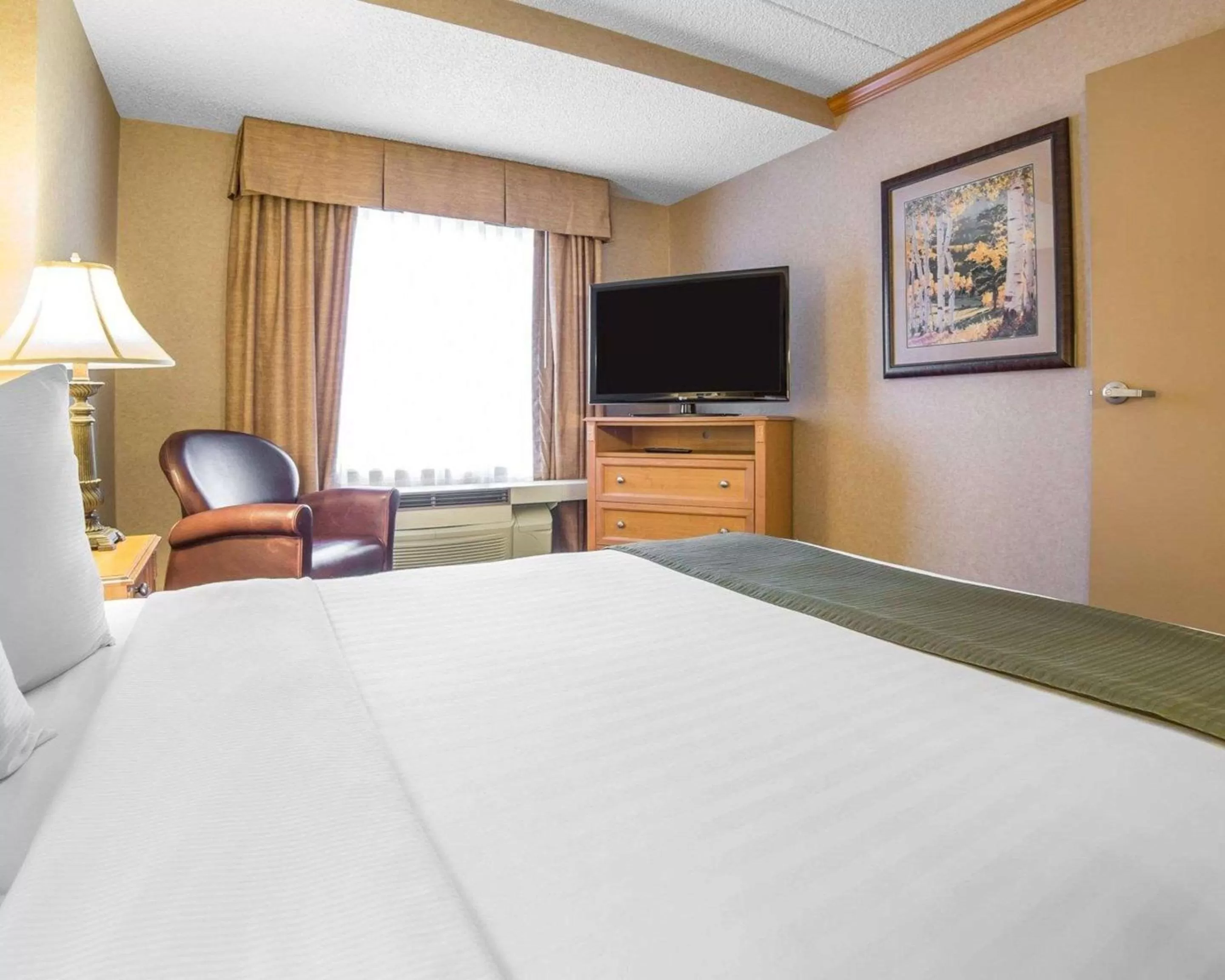 Photo of the whole room, Bed in Quality Inn & Suites Casper near Event Center