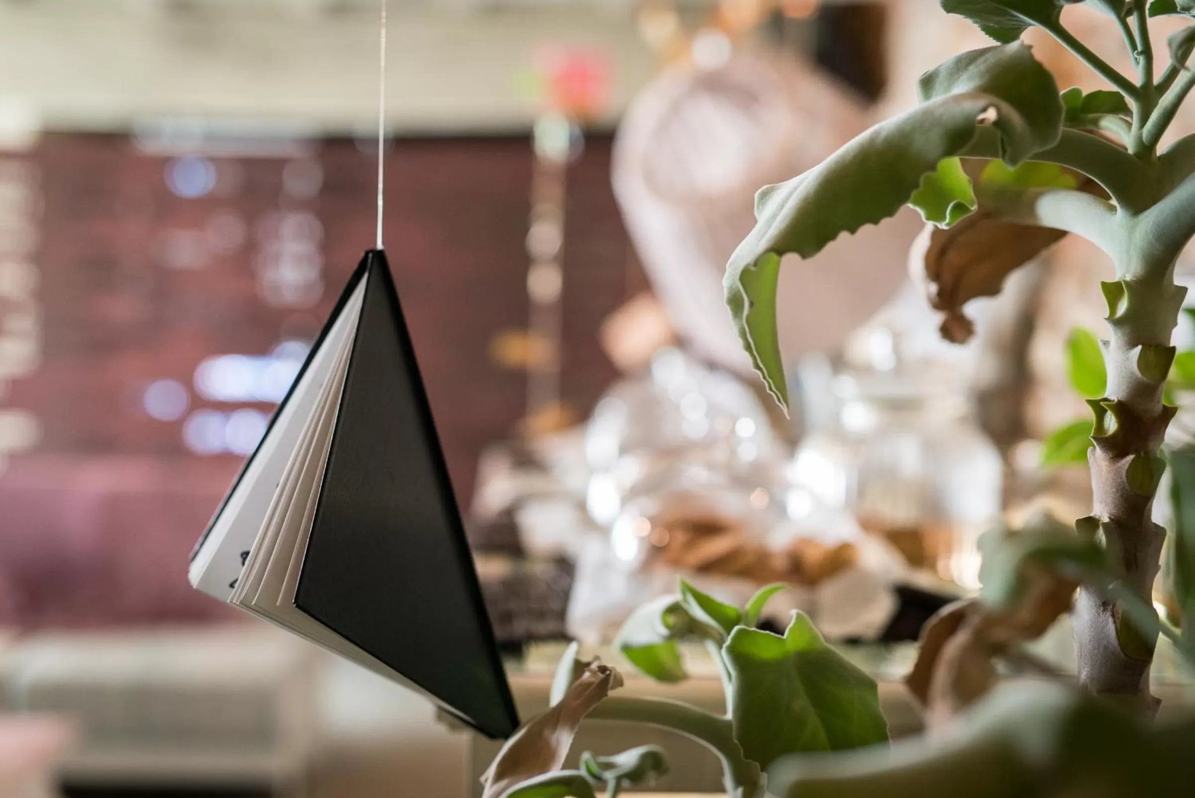Decorative detail in Villa Aruch