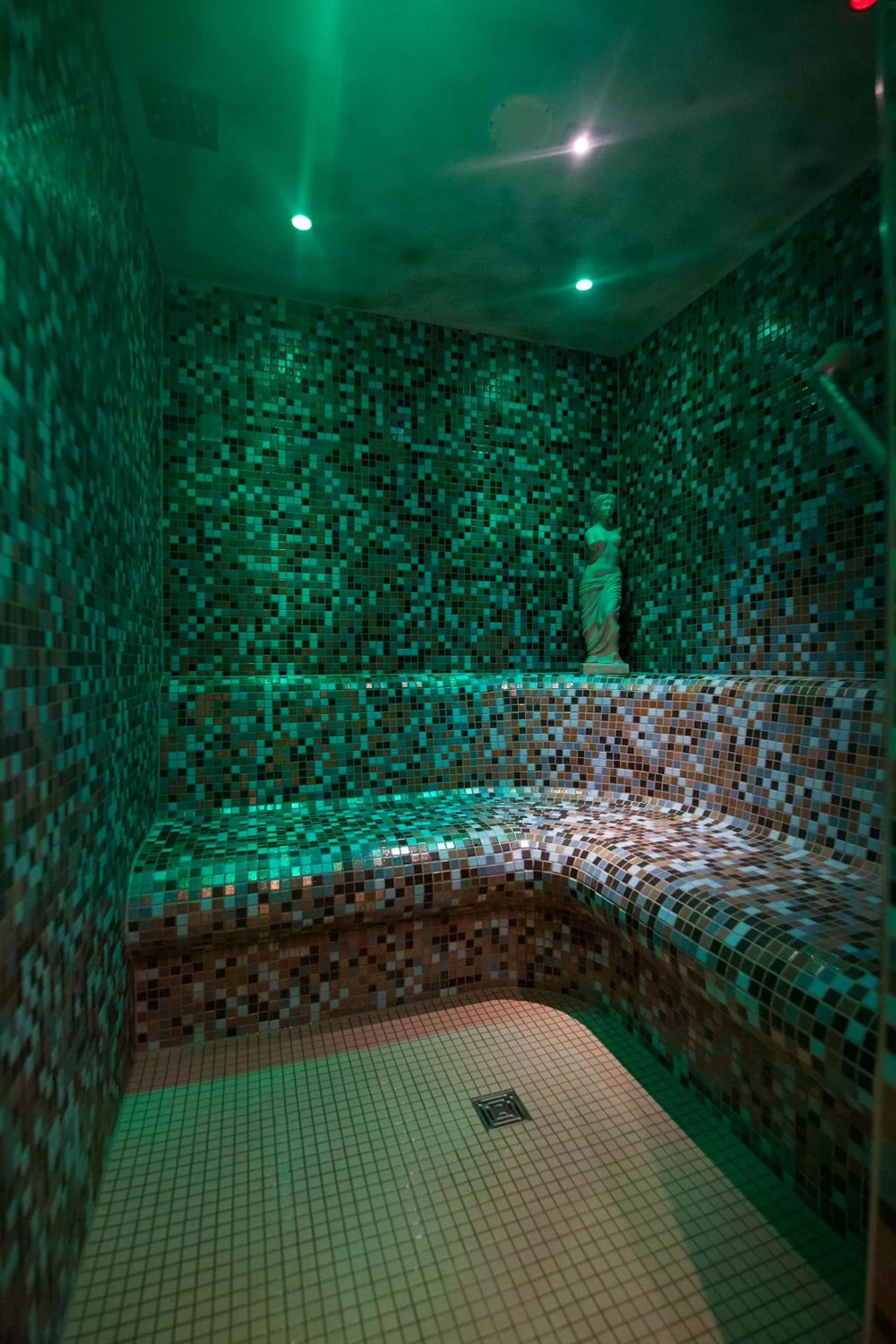 Steam room in Landhaus Lauble