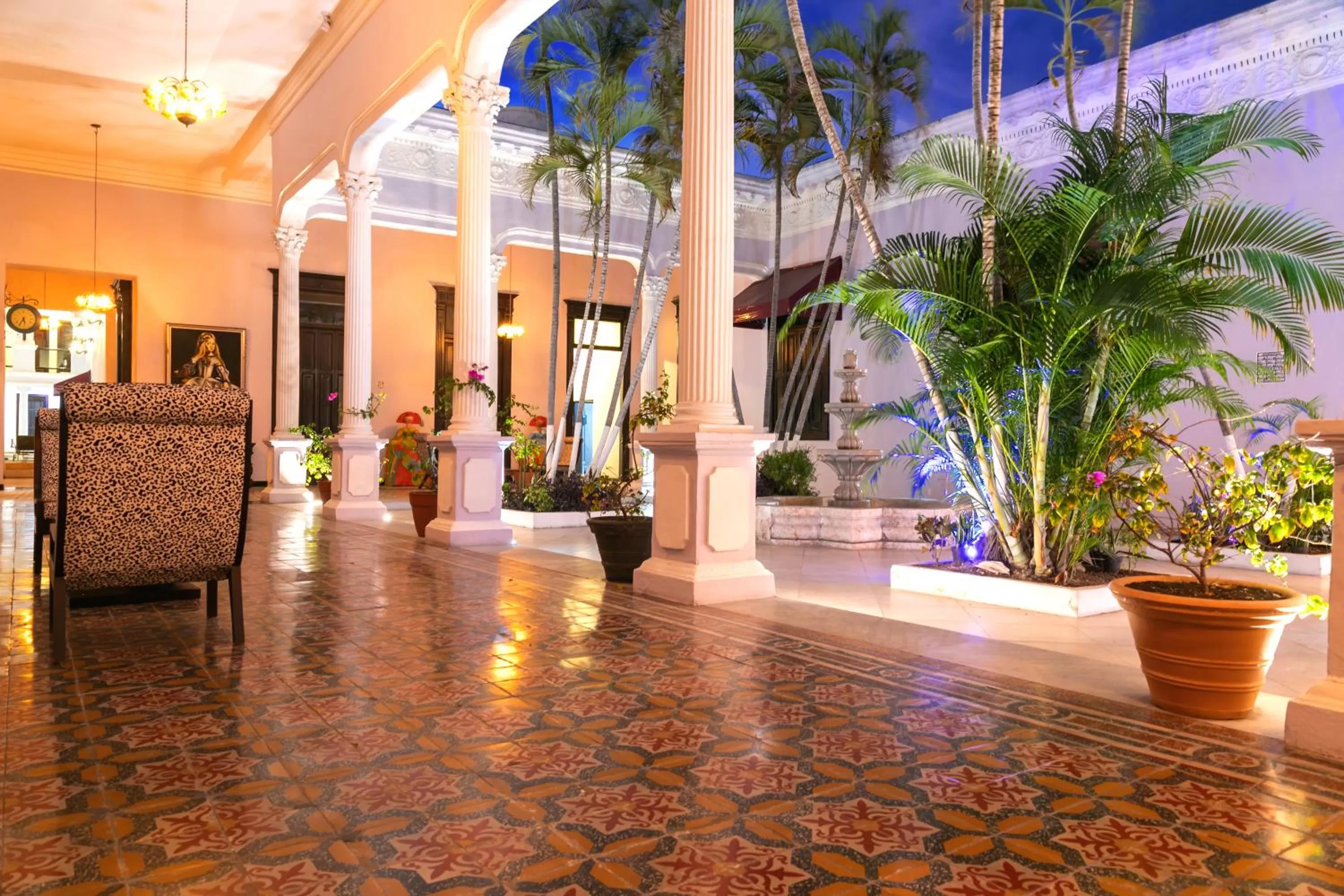 Garden in Hotel Lavanda CAS Merida