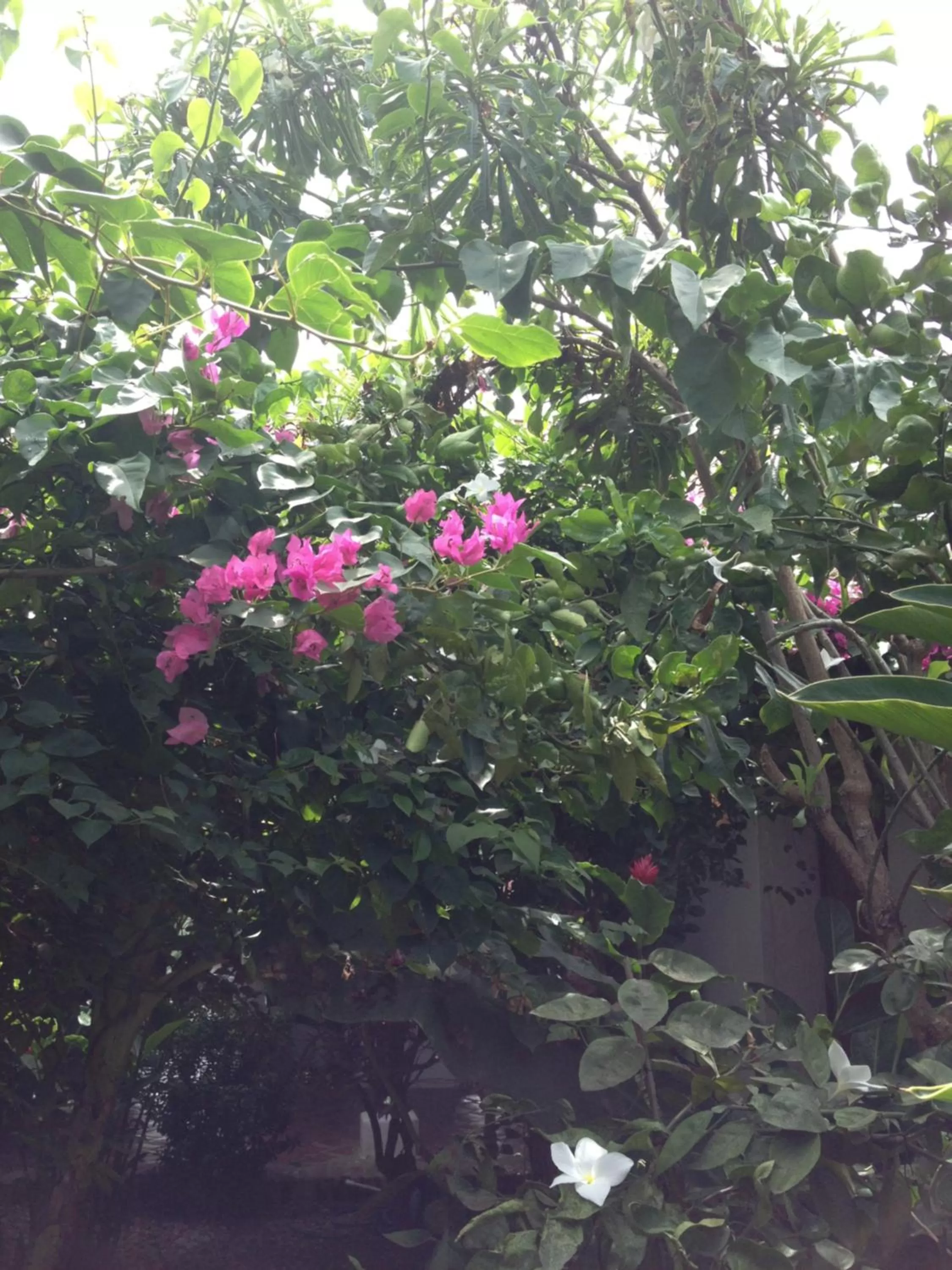 Day in Portal de la Marquesa