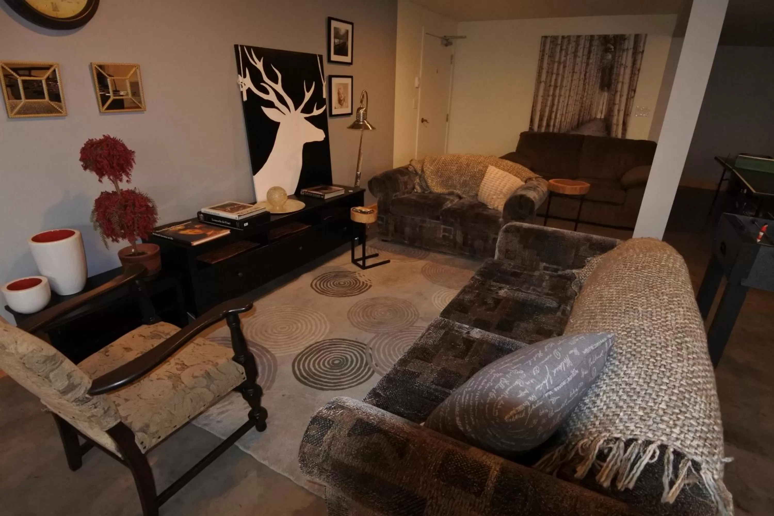 Communal lounge/ TV room in Black Rooster Guesthouse