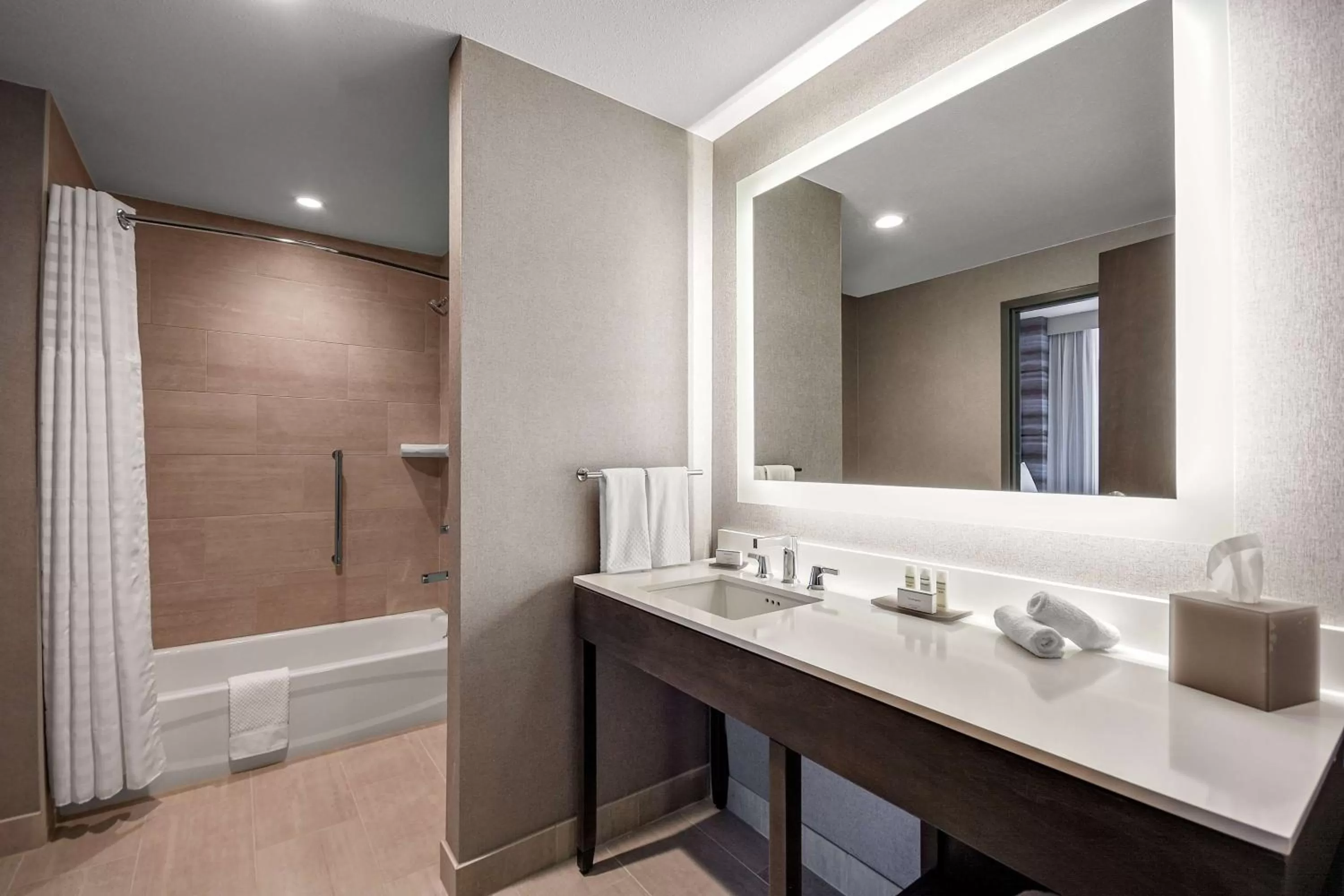 Bathroom in Embassy Suites by Hilton Jonesboro Red Wolf Convention Center