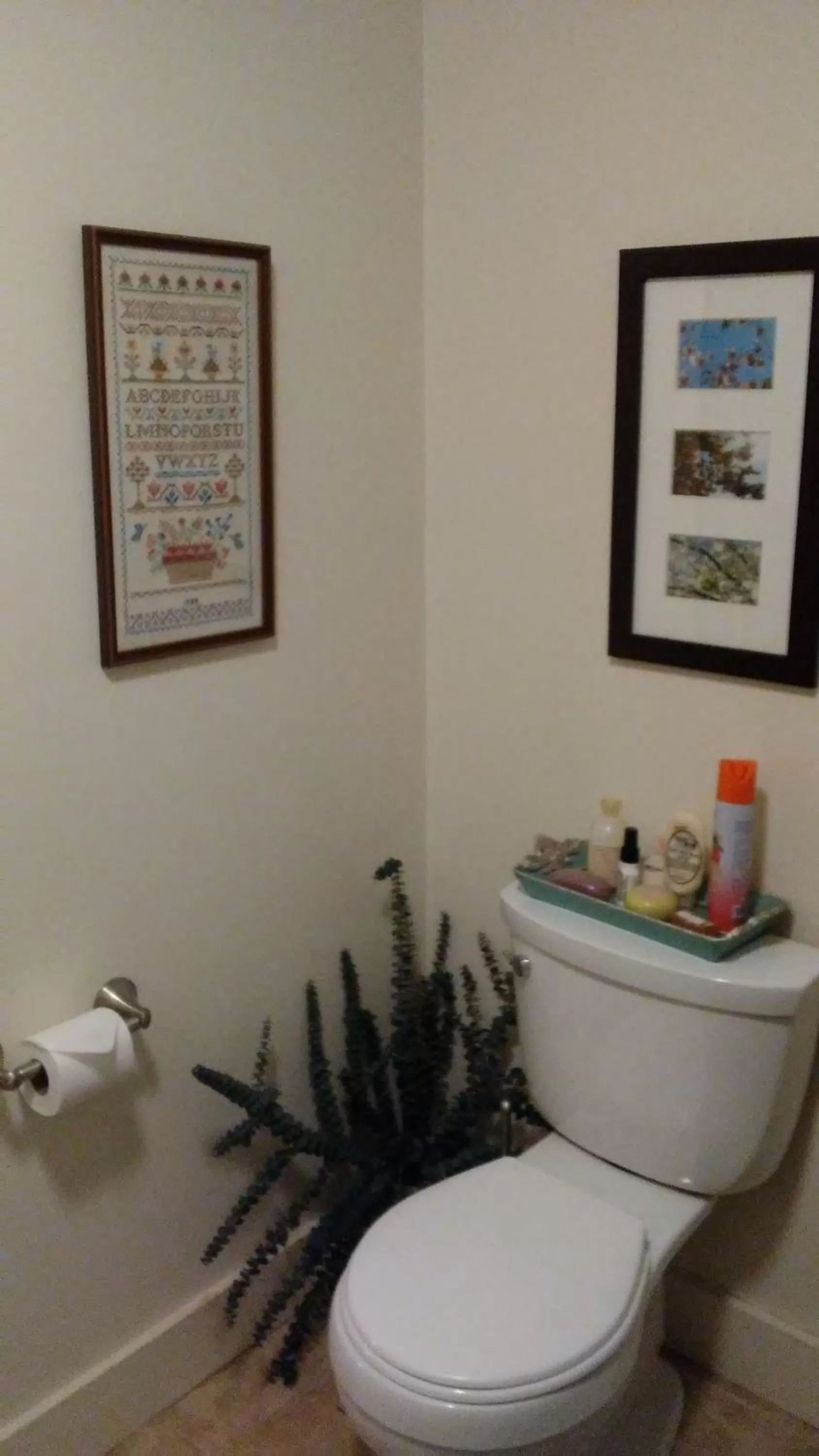 Toilet in 13 Hills Bed & Breakfast