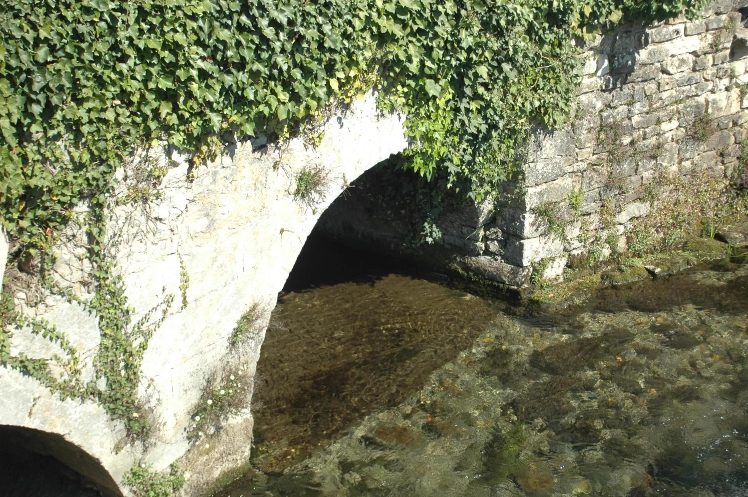 Neighbourhood in Le Perroquet Vert