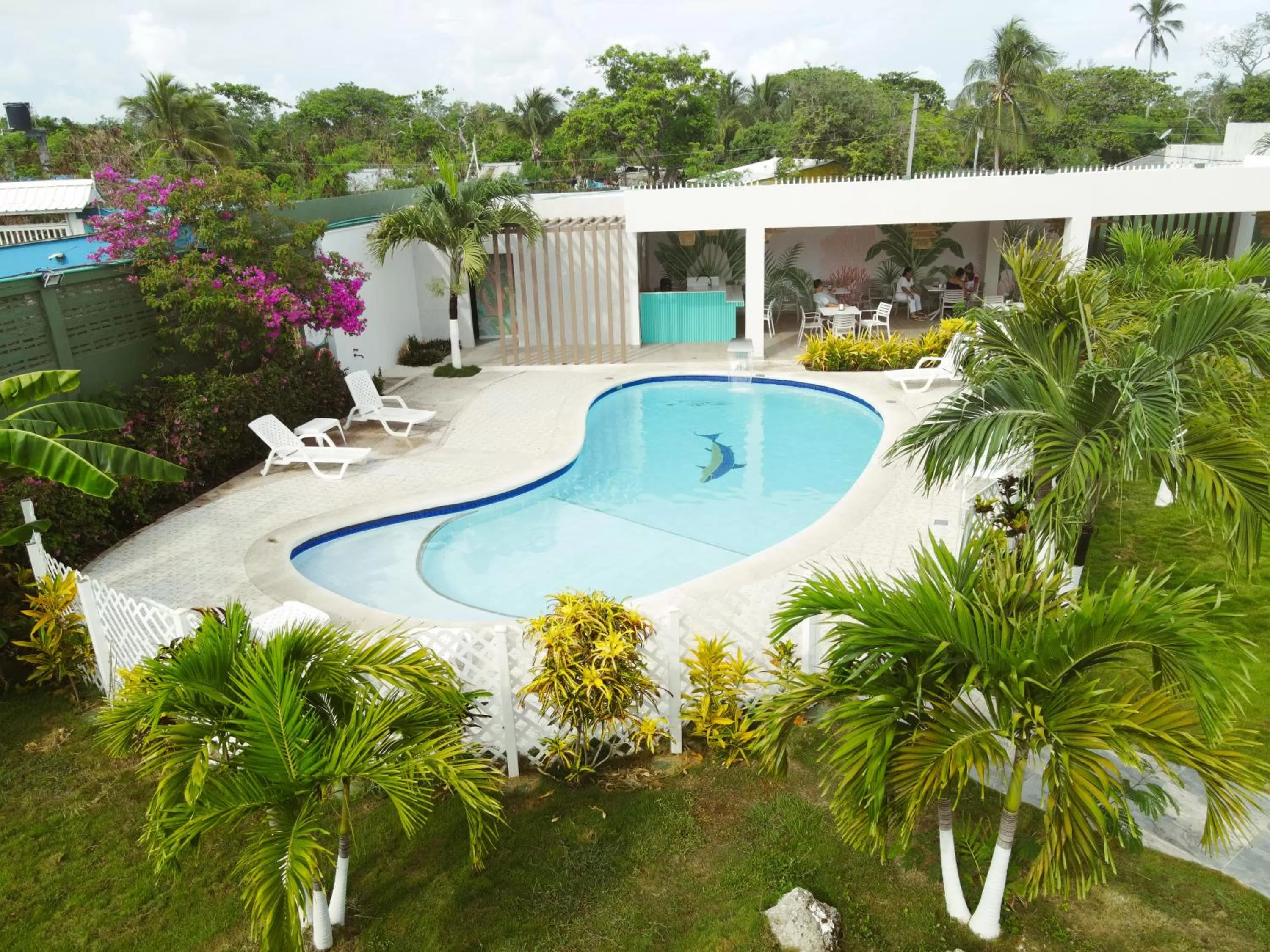 Garden in Hotel Koray