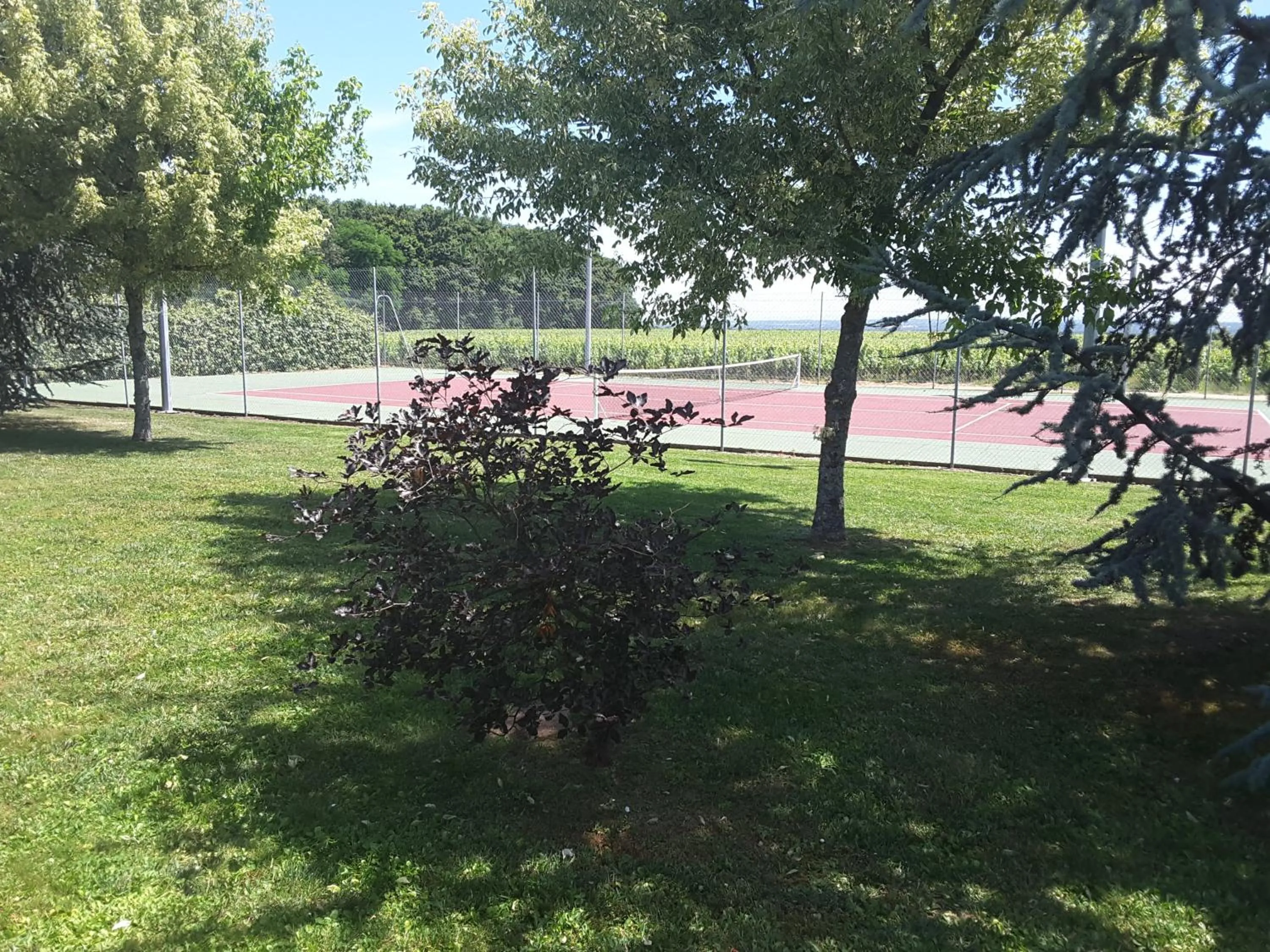 Tennis court in Château de Pizay