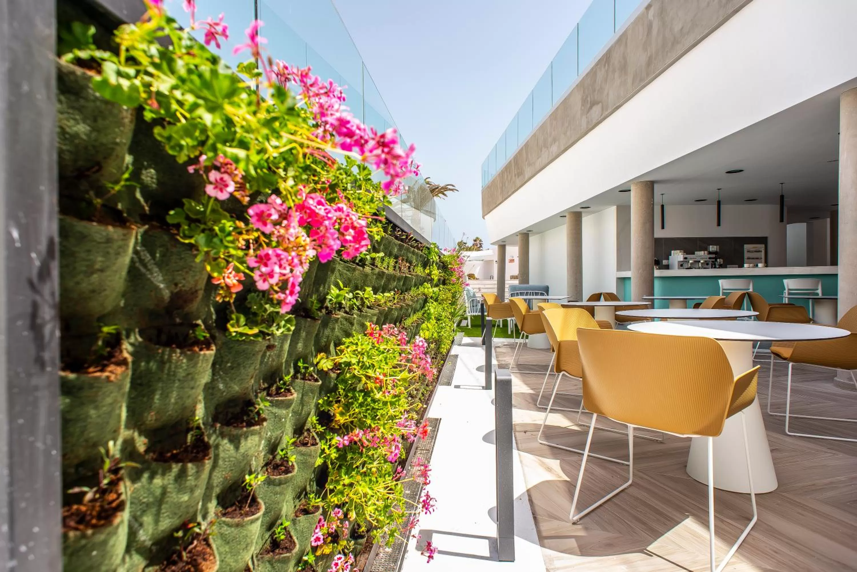 Restaurant/places to eat in Hotel Taimar