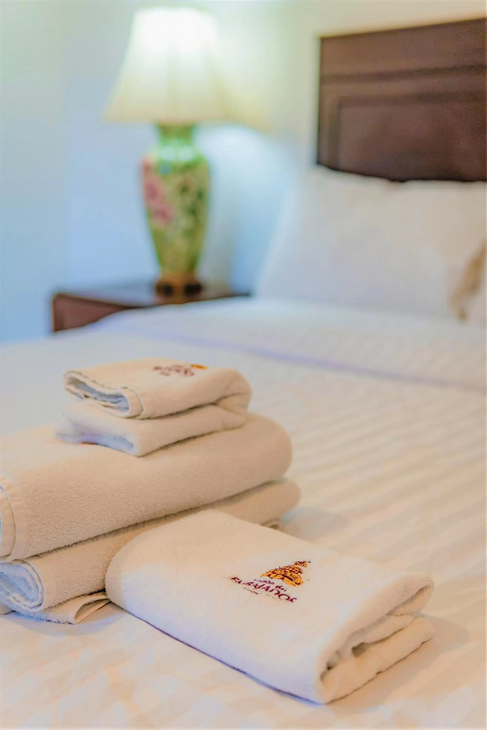 Decorative detail, Bed in Maison del Embajador