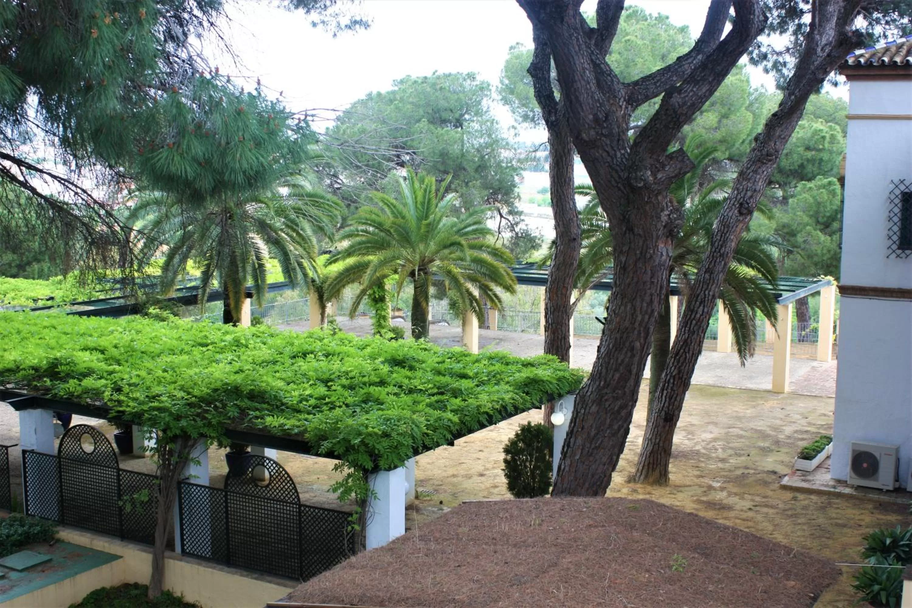 Property building in Hotel Oromana