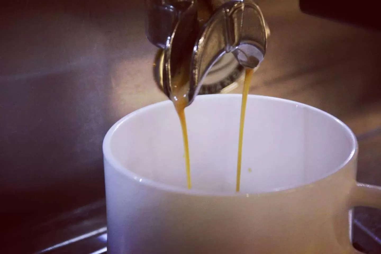 Food and drinks in Hotel Le Pont Neuf