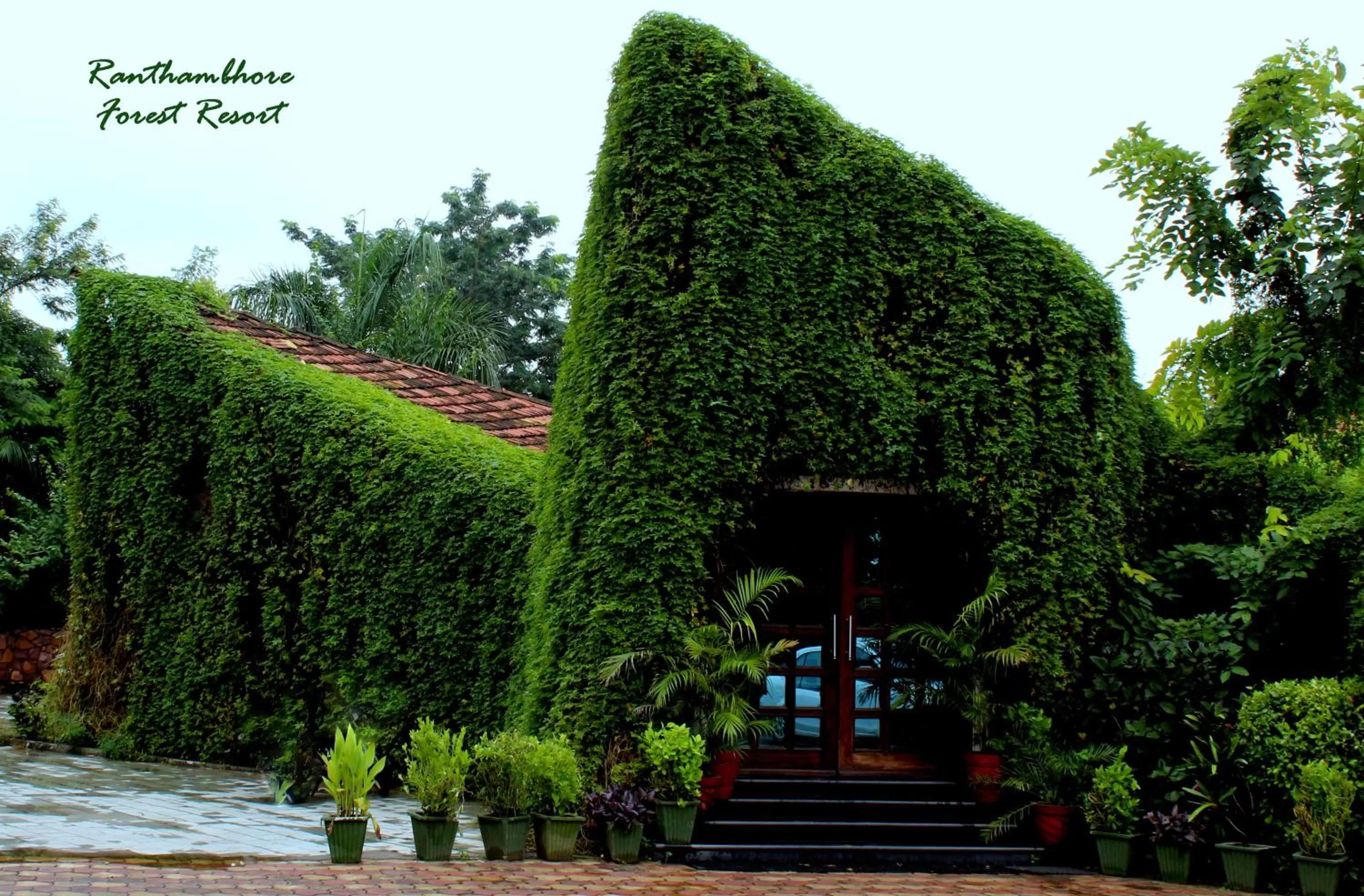 Facade/entrance in The Fern Ranthambore Forest Resort Rajasthan