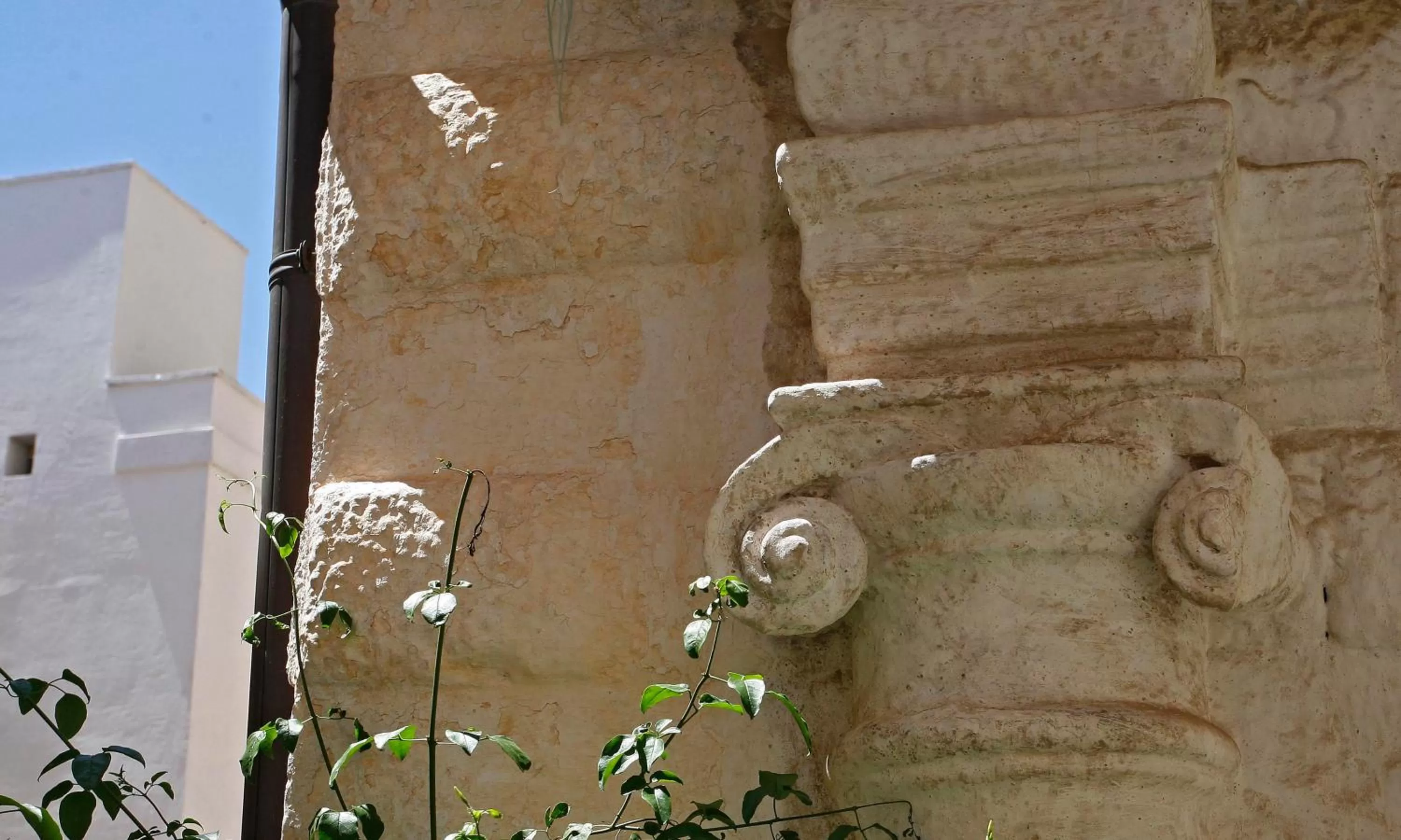 Decorative detail in Hotel La Terra