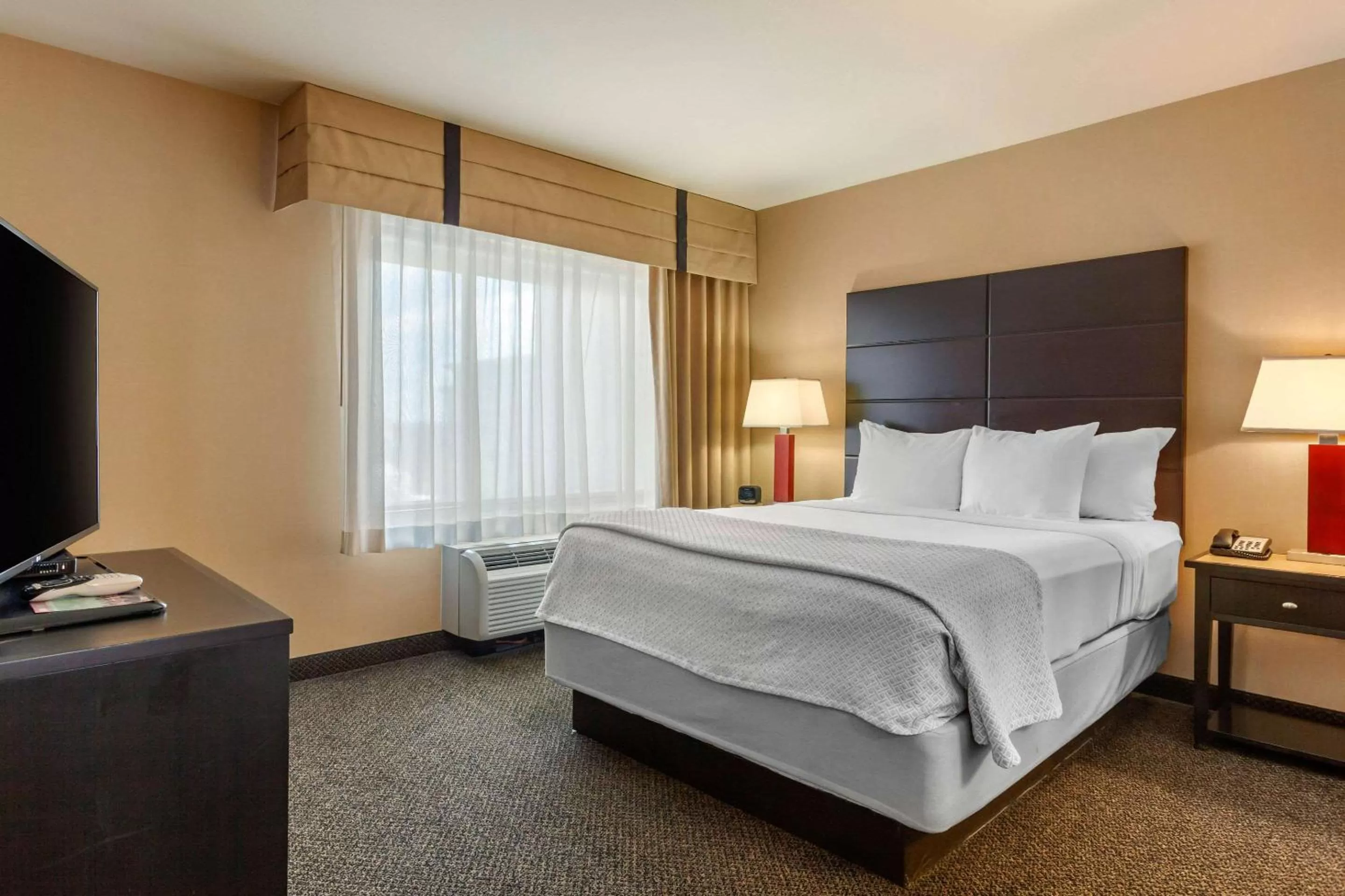 Photo of the whole room in Cambria Hotel Ft Collins