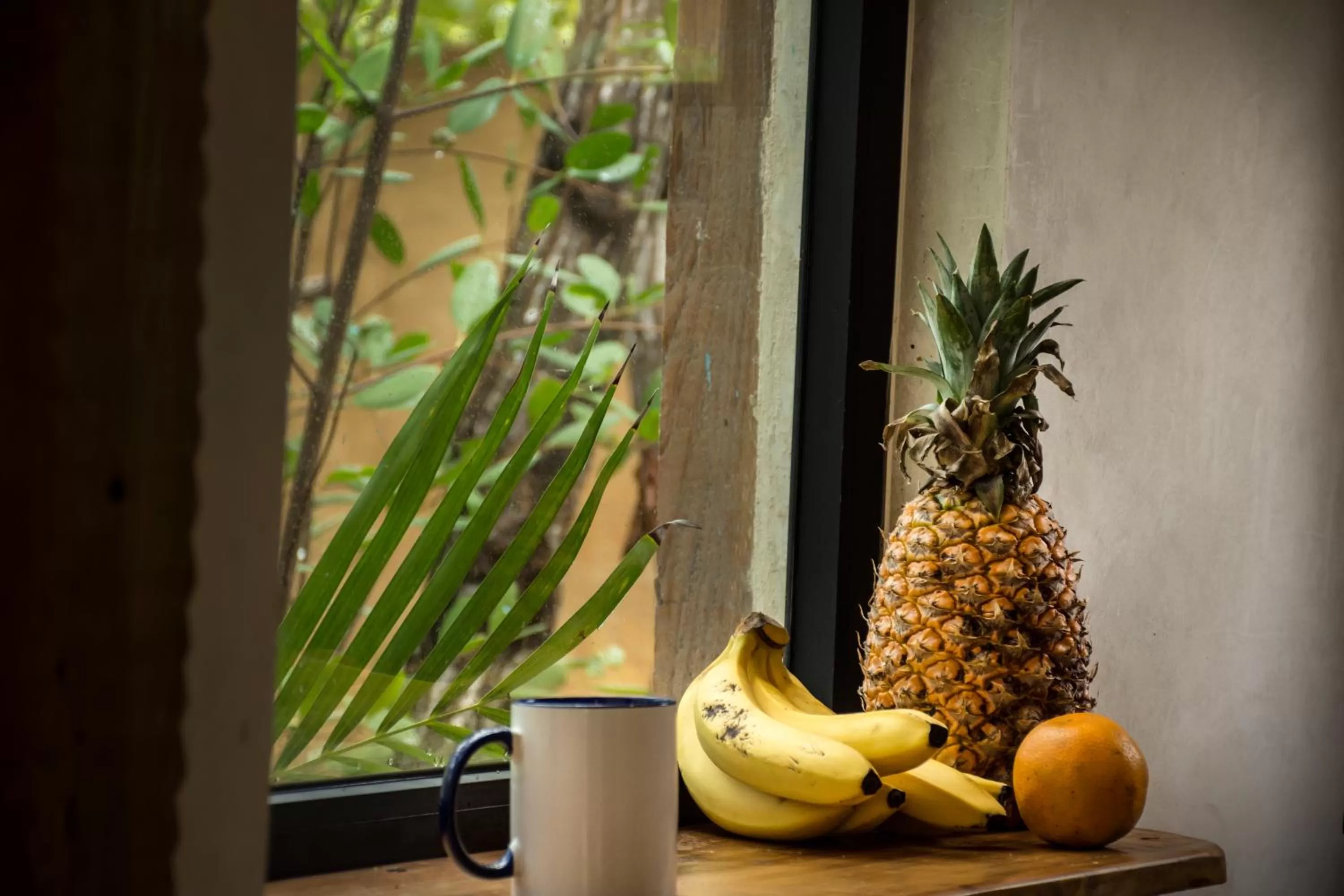 oven in Suites Tulum