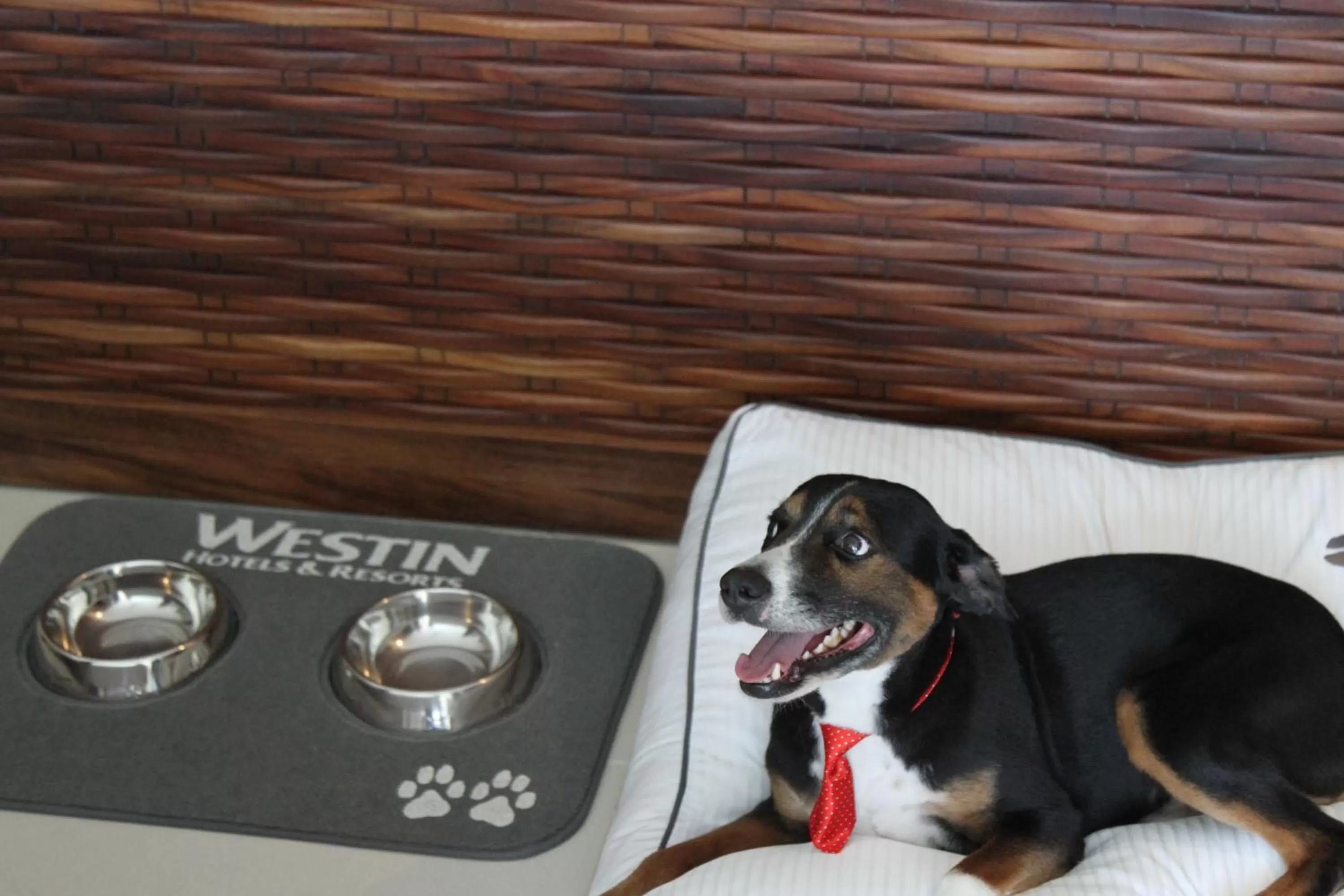 Property building in The Westin Cozumel