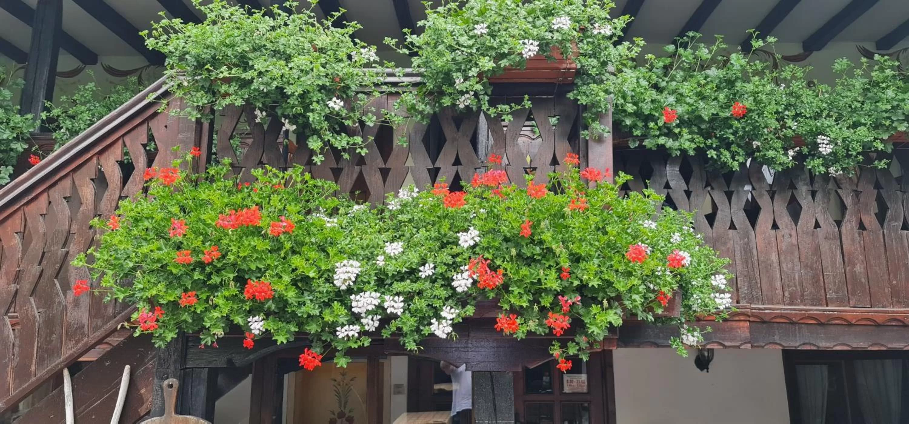Garden view in The Old House Family Hotel