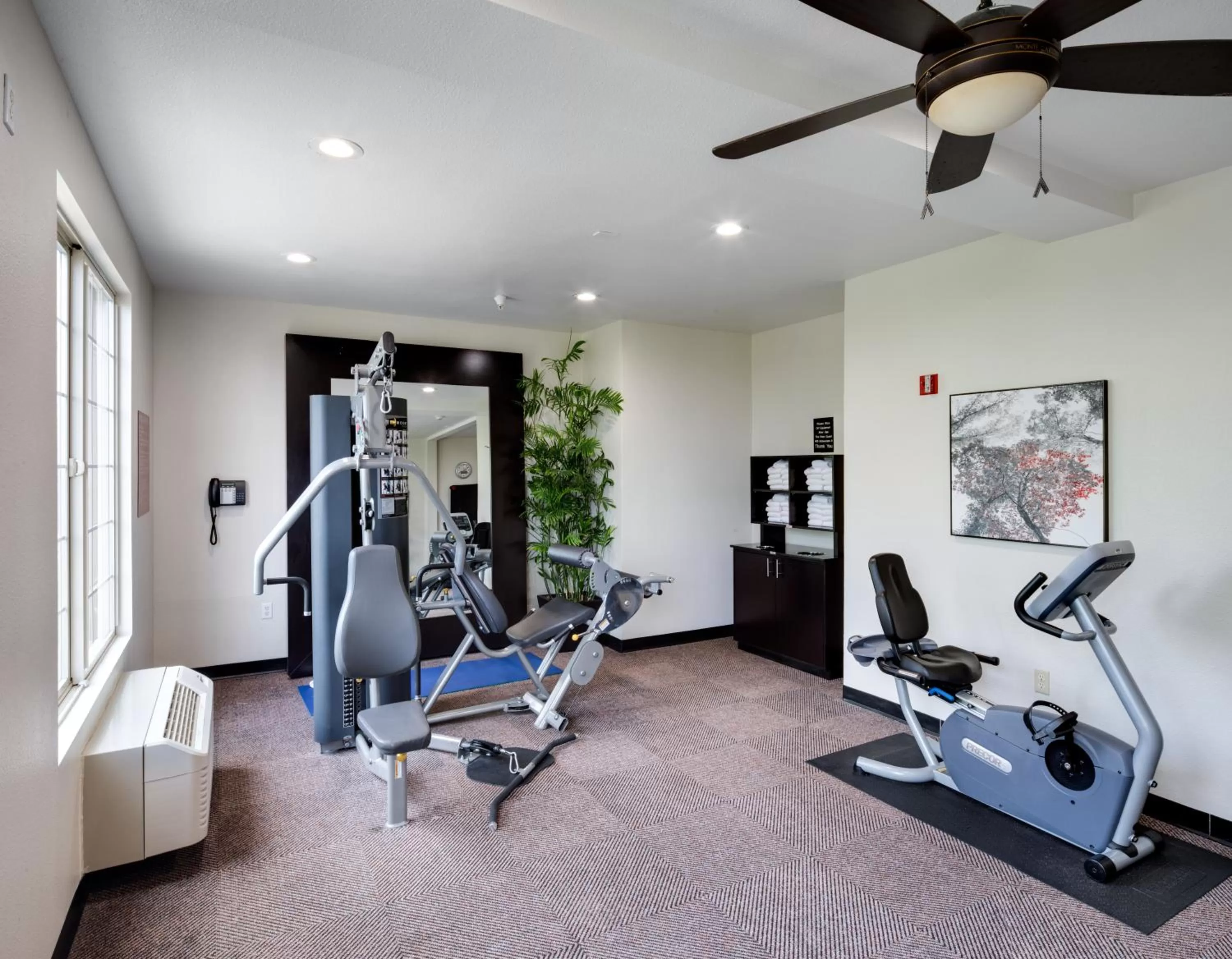 Fitness centre/facilities in Ayres Suites Mission Viejo - Lake Forest