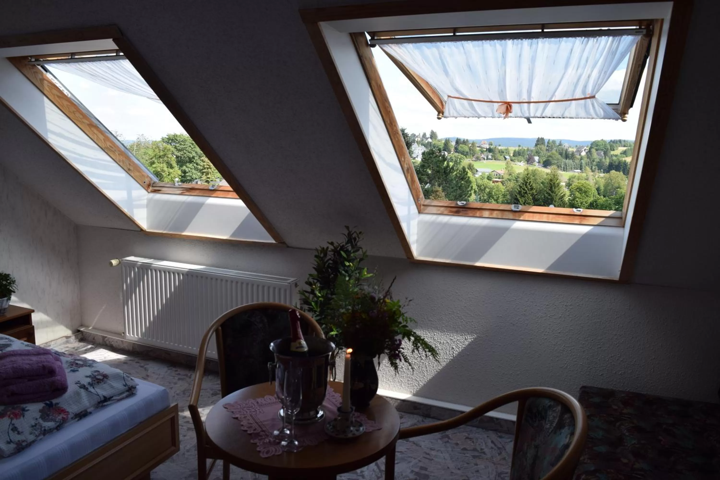 Photo of the whole room in Hotel Carola