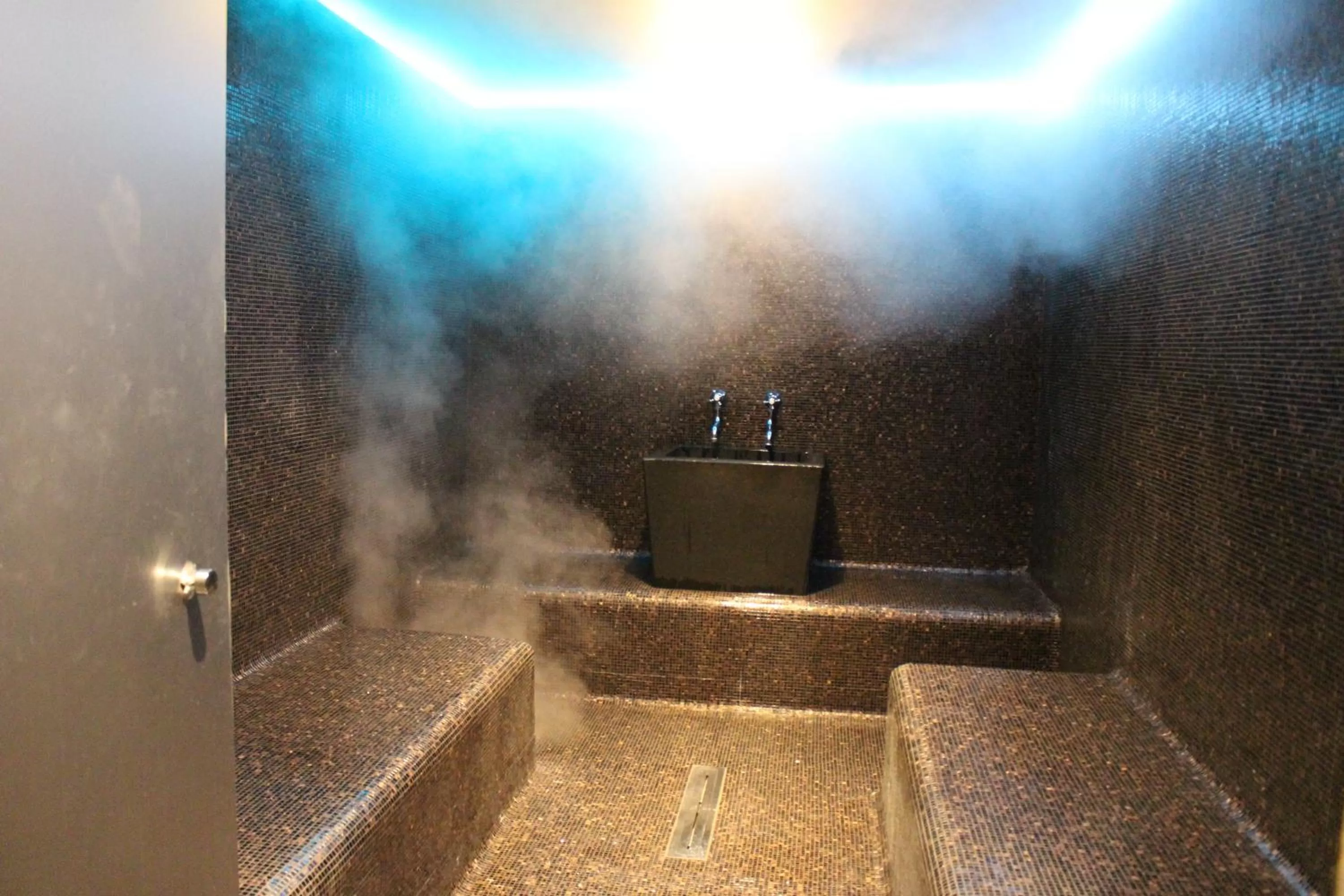 Steam room in Privilege Hotel & Spa