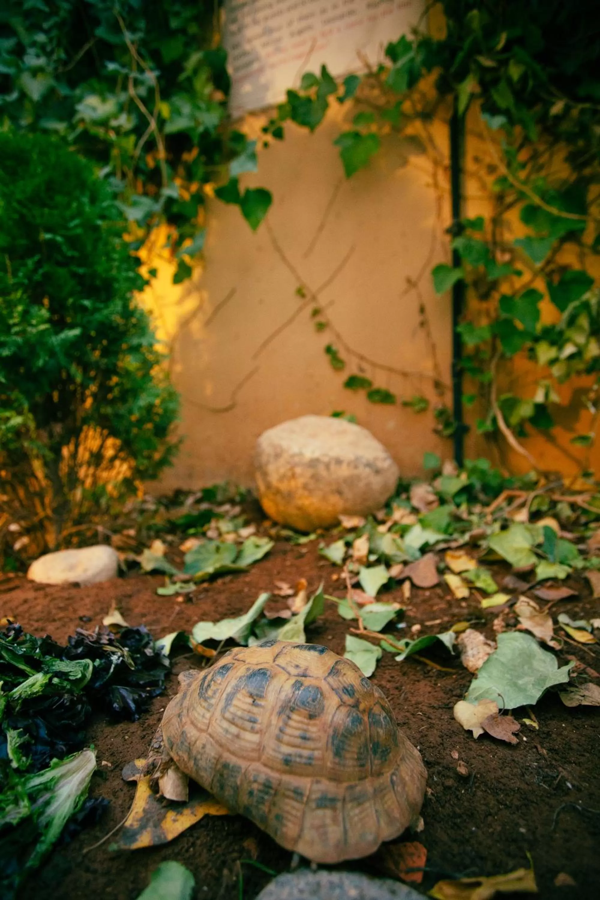 Day in Grand Hotel Madaba