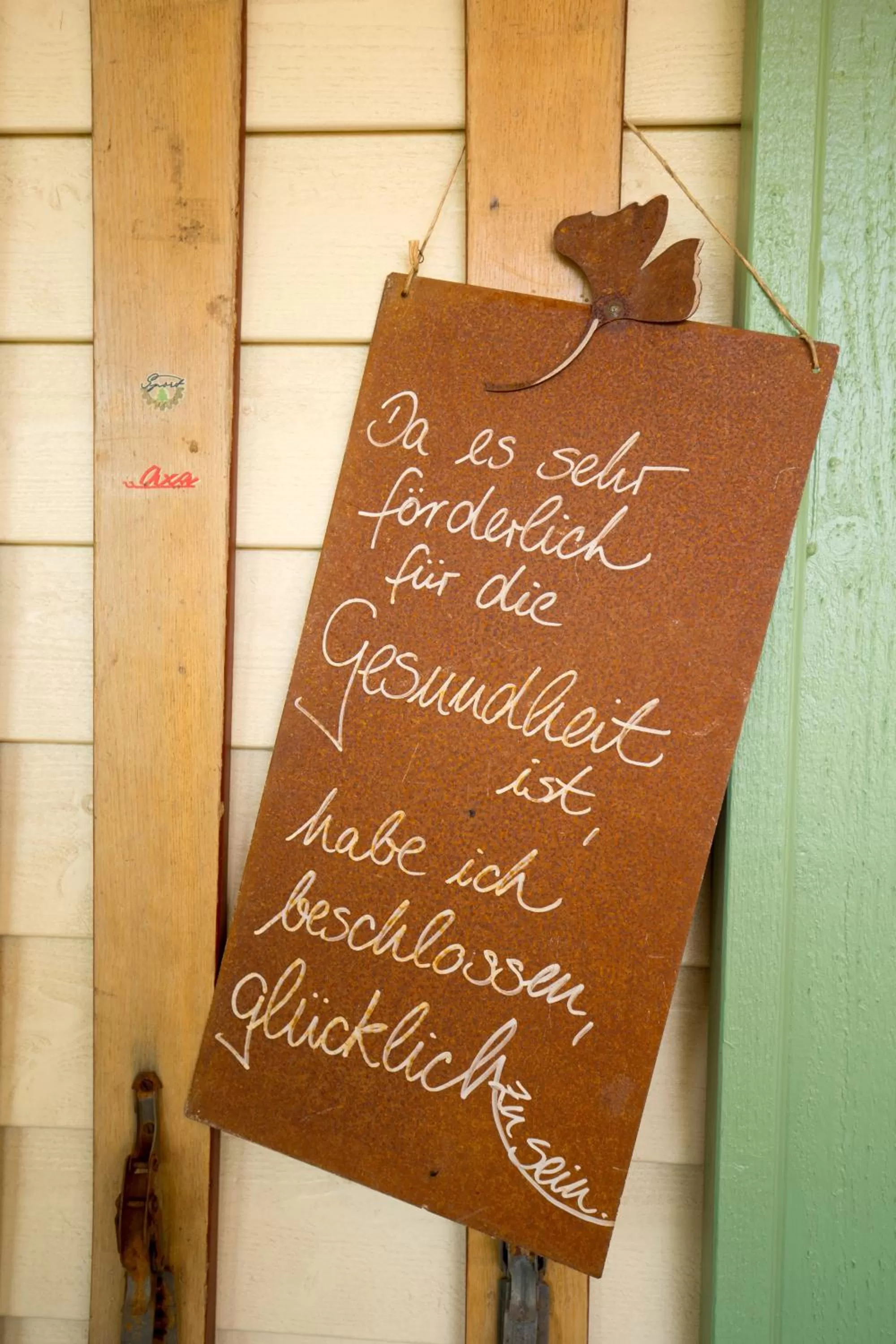 Activities in Plumbohms Aussichtsreich Gast- und Logierhaus