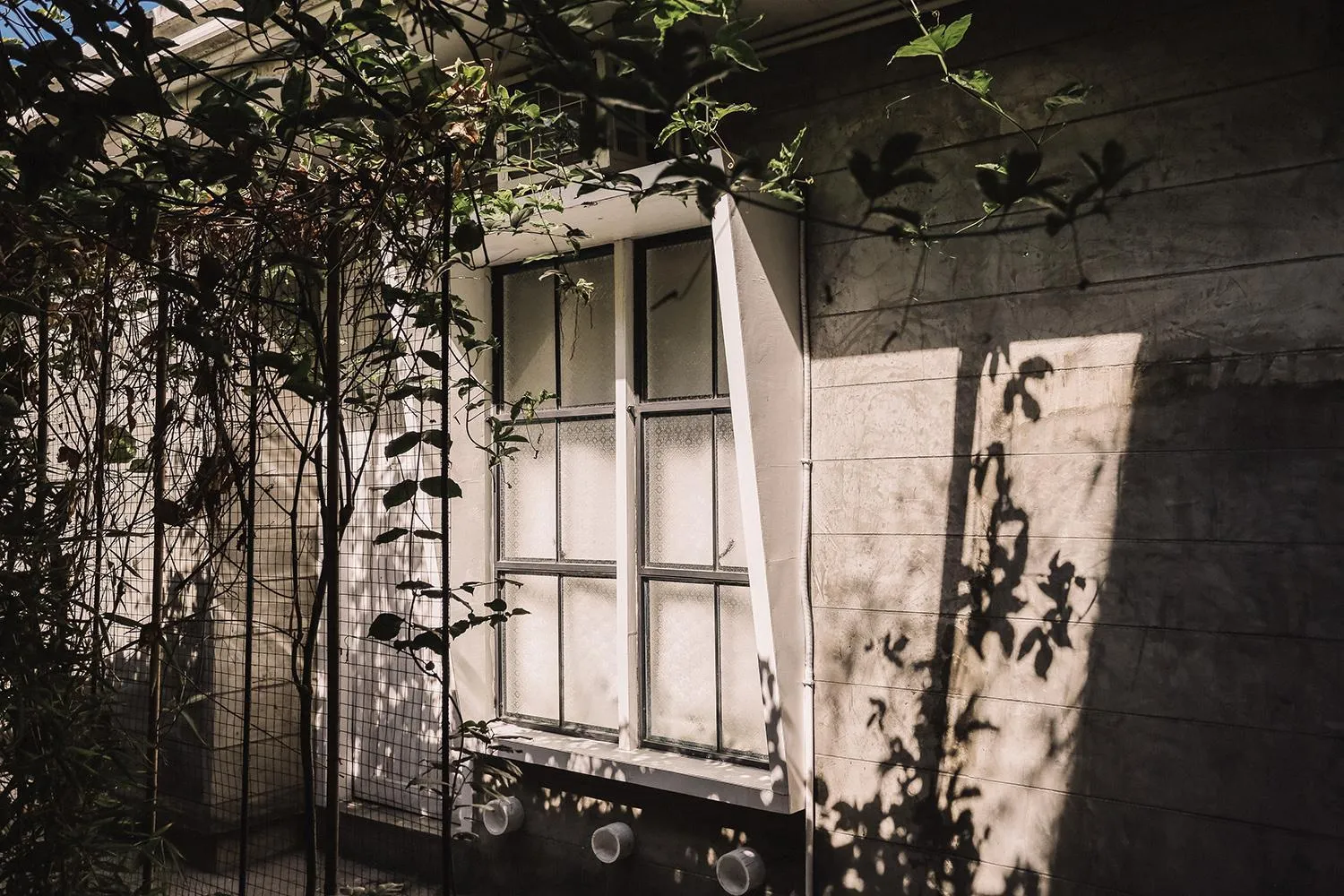 View (from property/room) in The Flying Fish Hostel