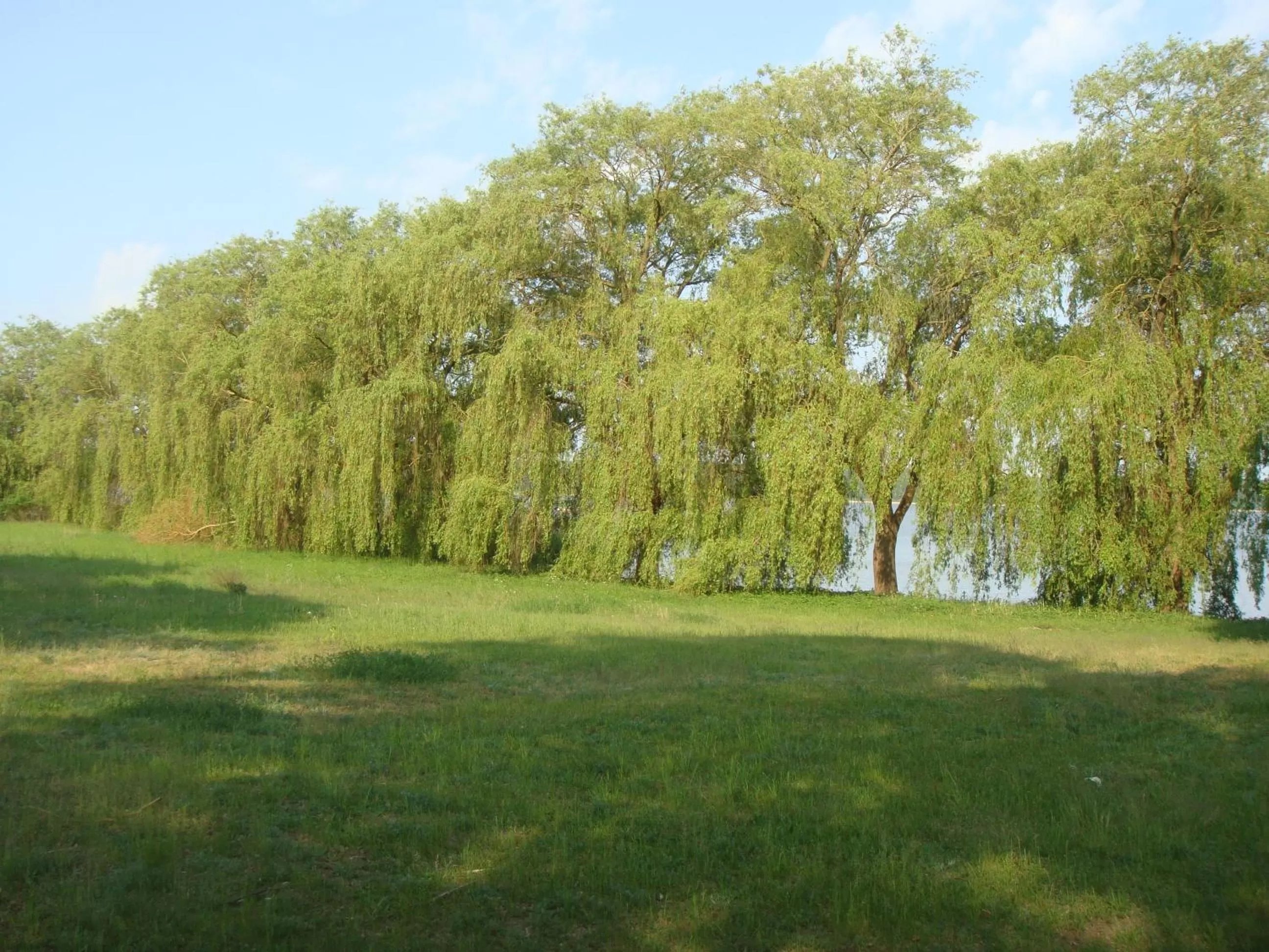 Natural landscape in Hotel am Wariner See