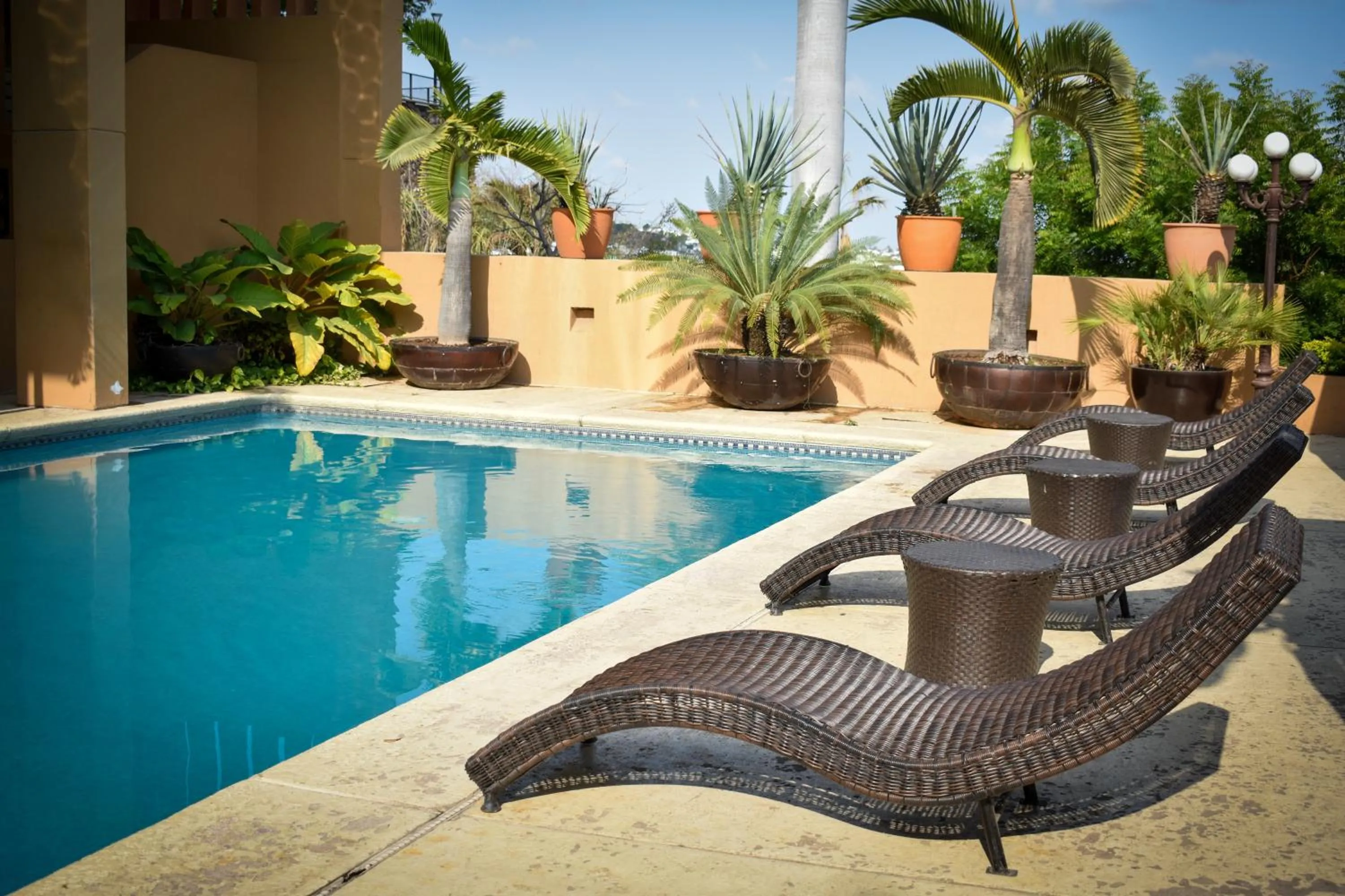 Pool view in Hotel San Luis Lindavista