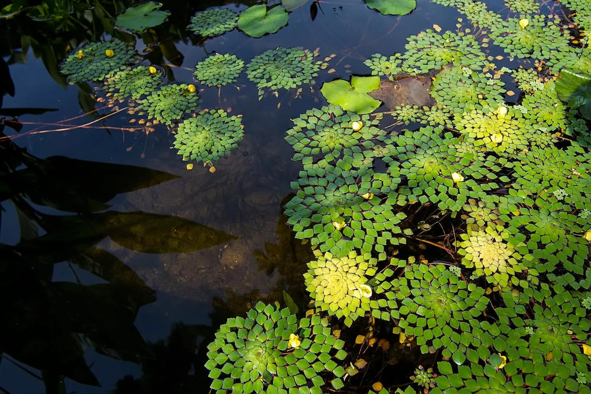 Other in The Elements Krabi Resort - SHA Plus