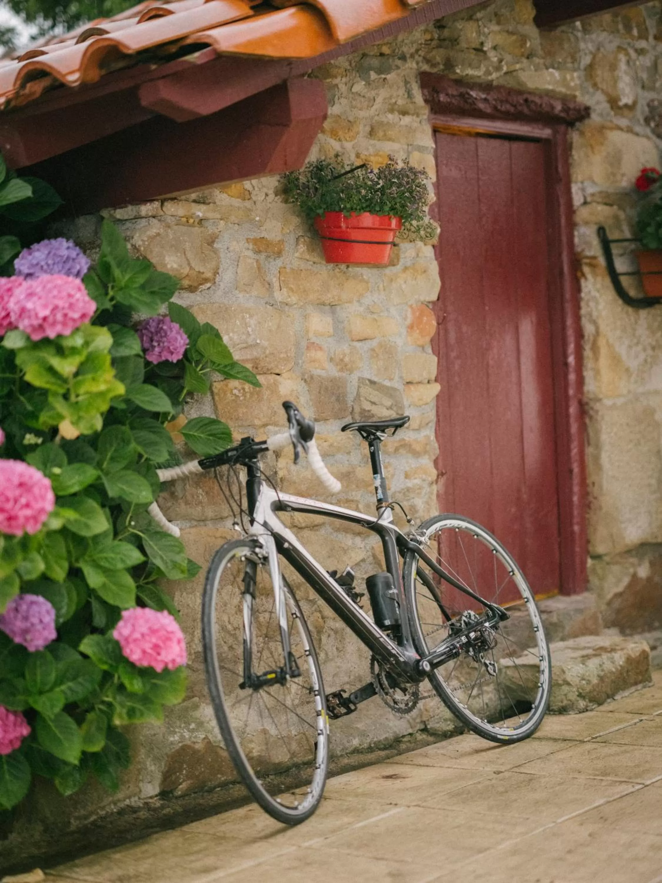 Cycling in Hotel Nafarrola - Gastronomy & Wine