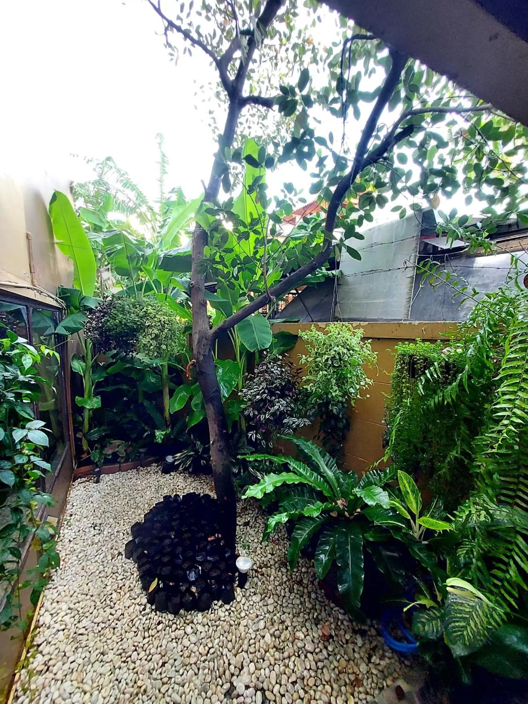 Garden view in Traveller Inn Hotel