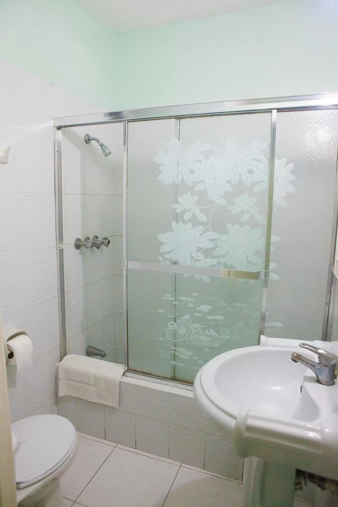 Shower, Bathroom in Caribic House