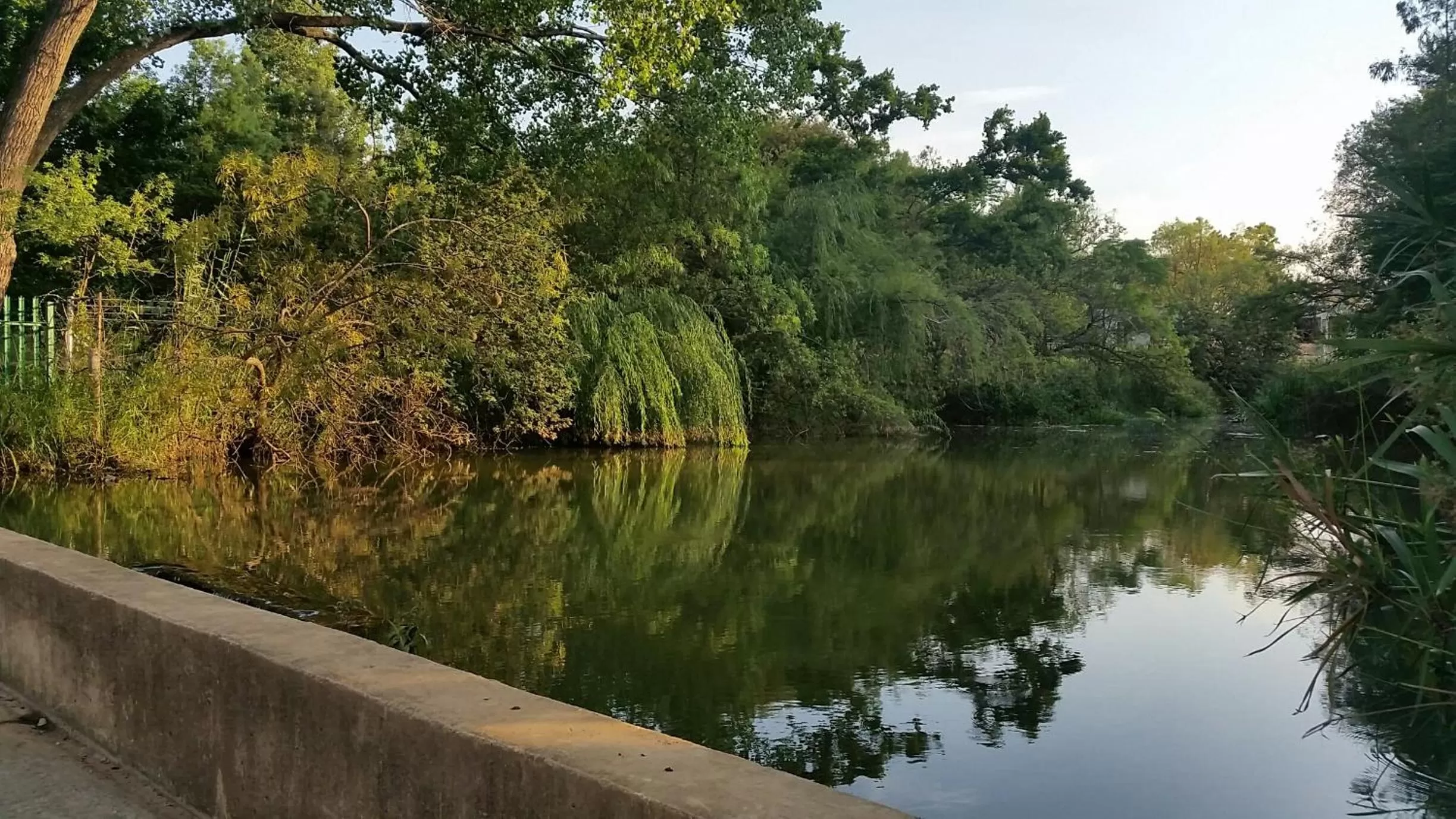 Natural landscape in Amberhall Guesthouse