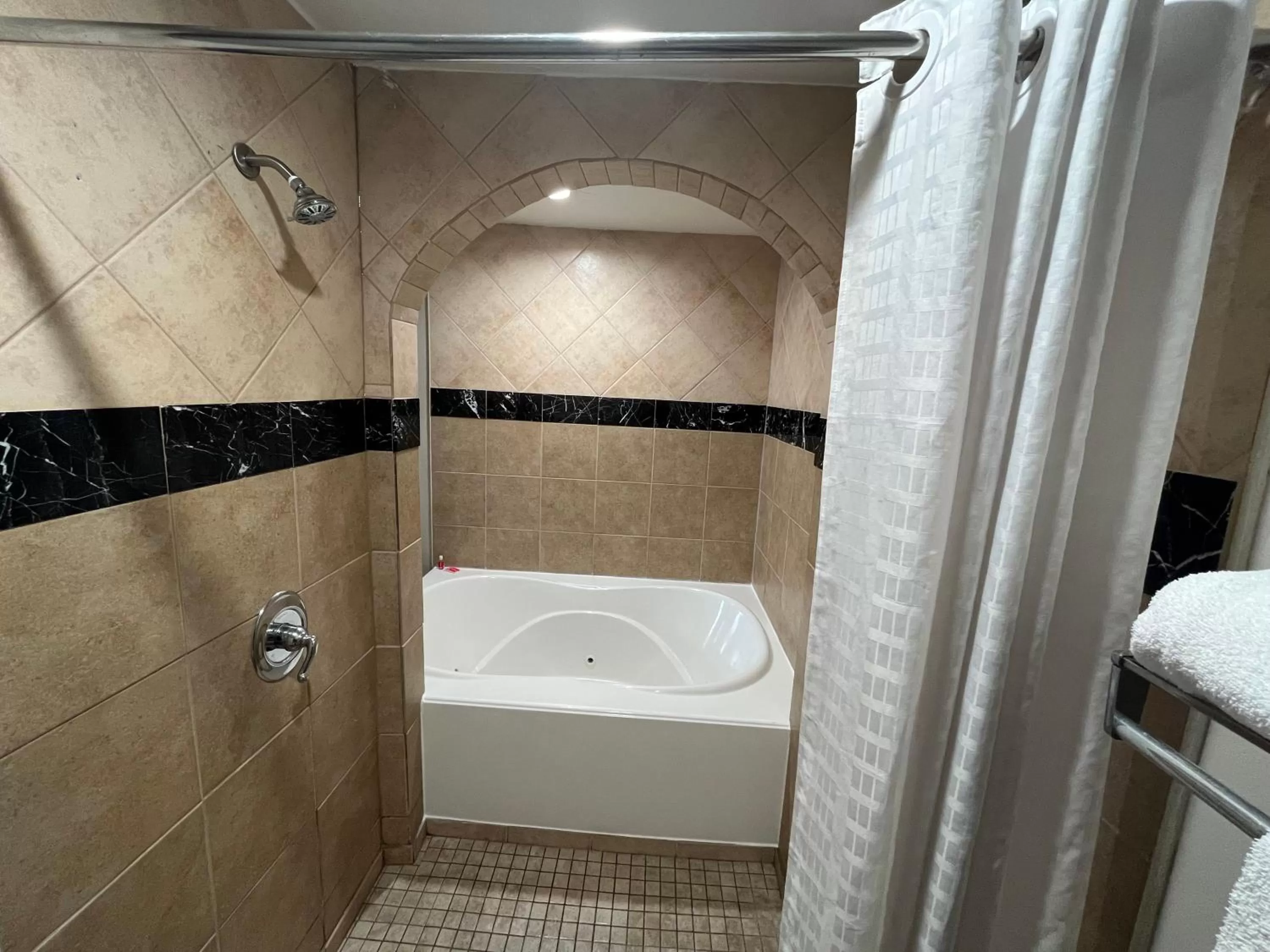 Shower in Econo Lodge Inn & Suites Murfreesboro Shopping District