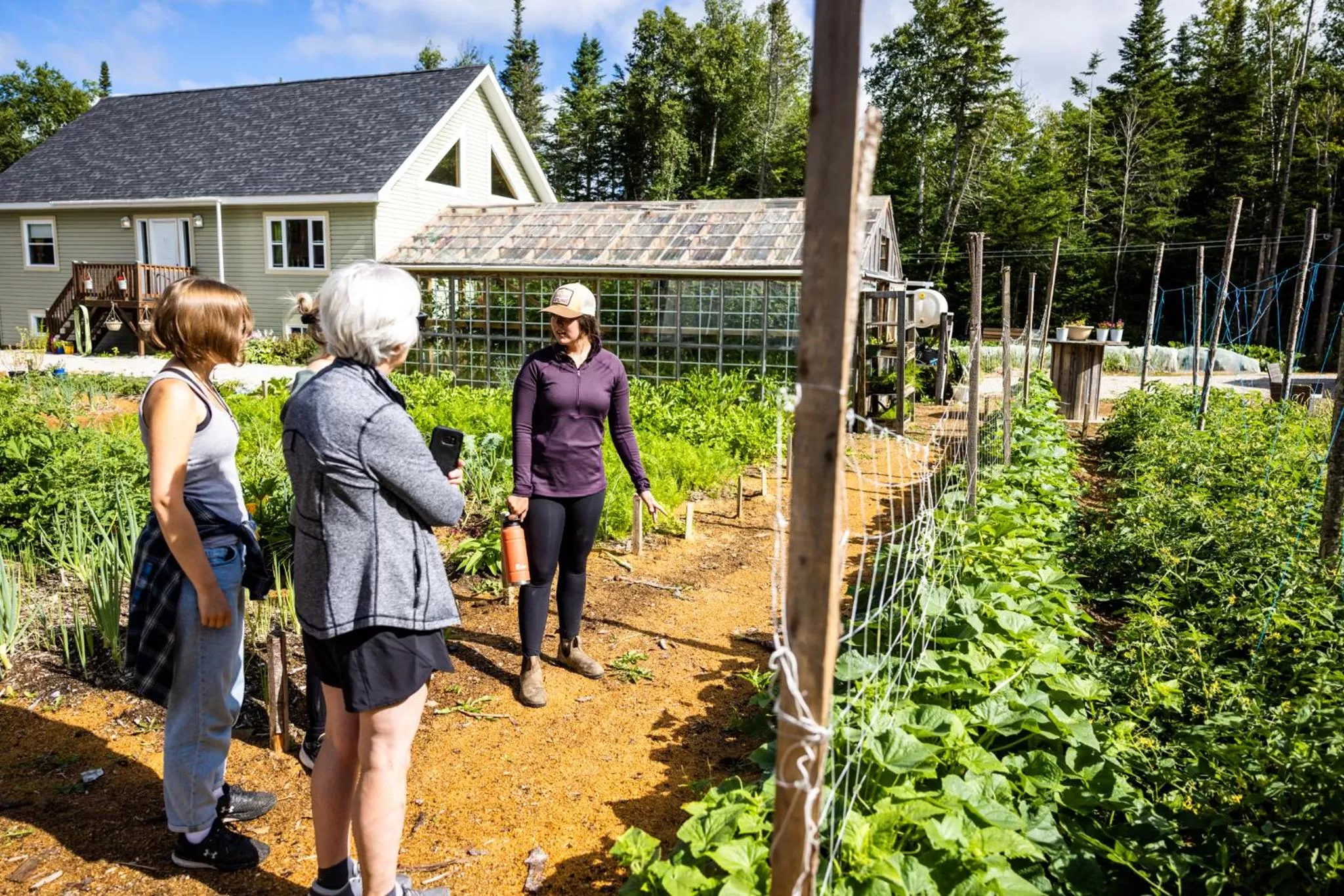 Upper Humber Settlement a FarmStay B&B