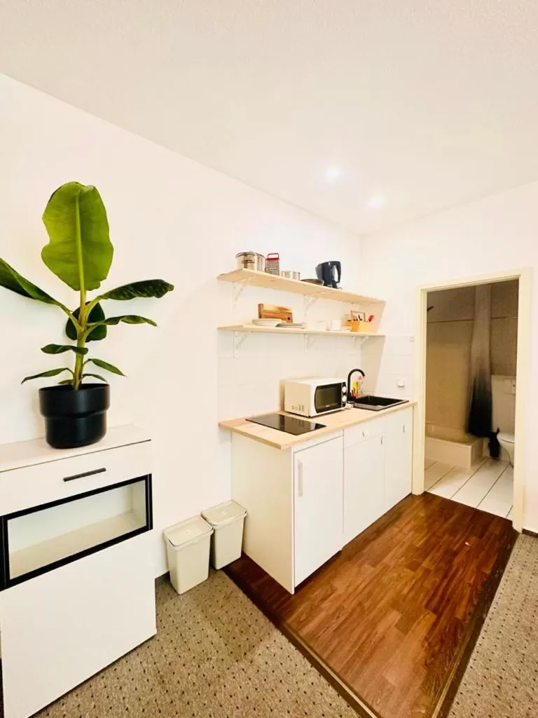 Kitchen/Kitchenette in Saale, Marktplatz Zentrum, Apartmenthaus am Dom von Plant Room