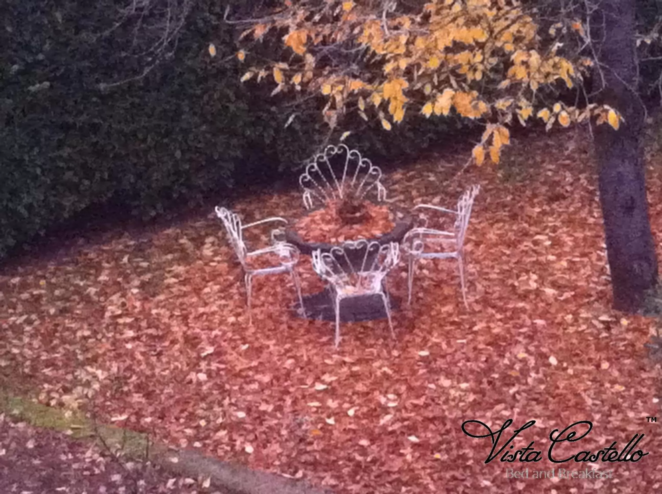 Garden in Vista Castello