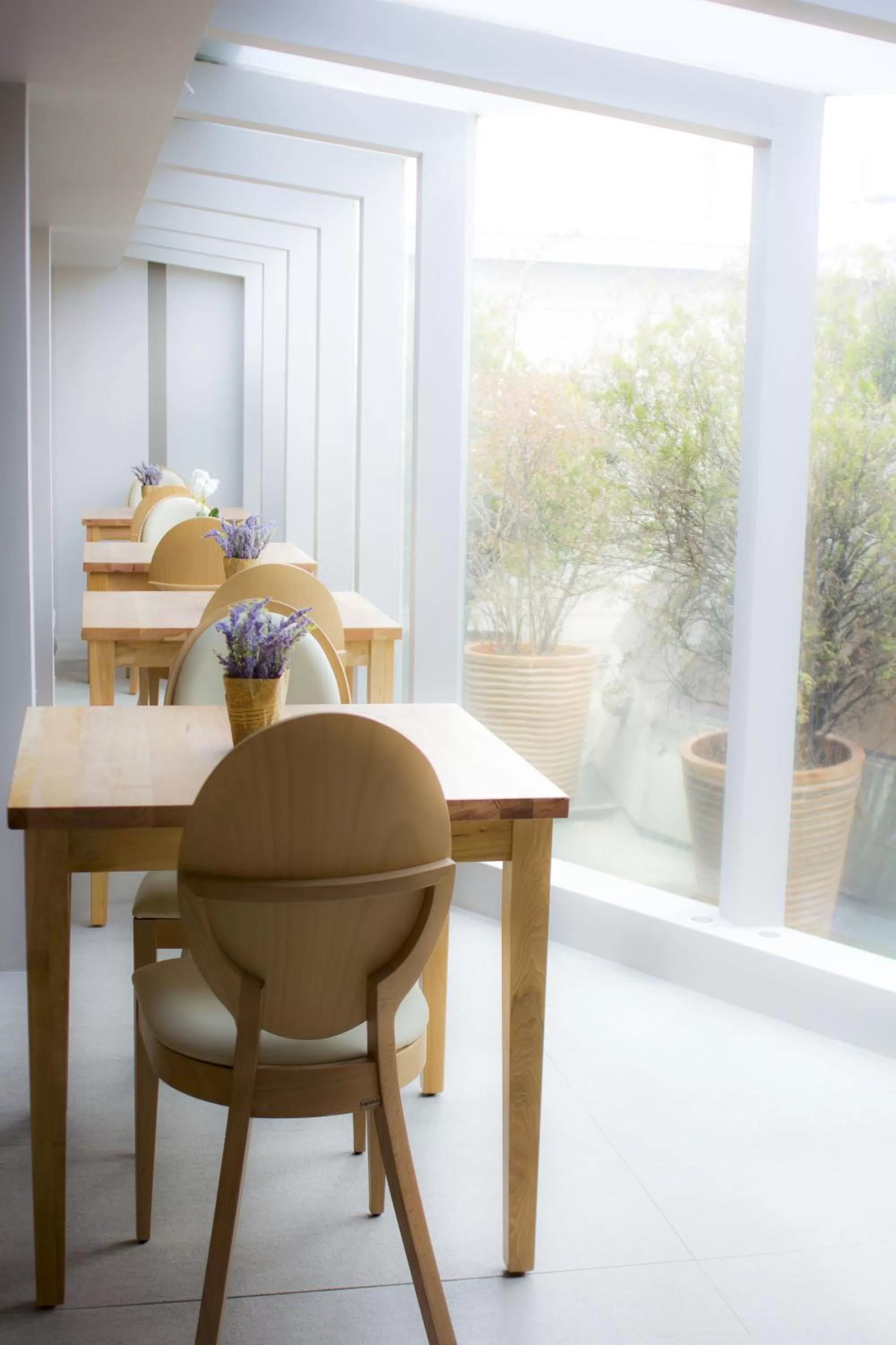 Day in Hotel Las Terrazas Business