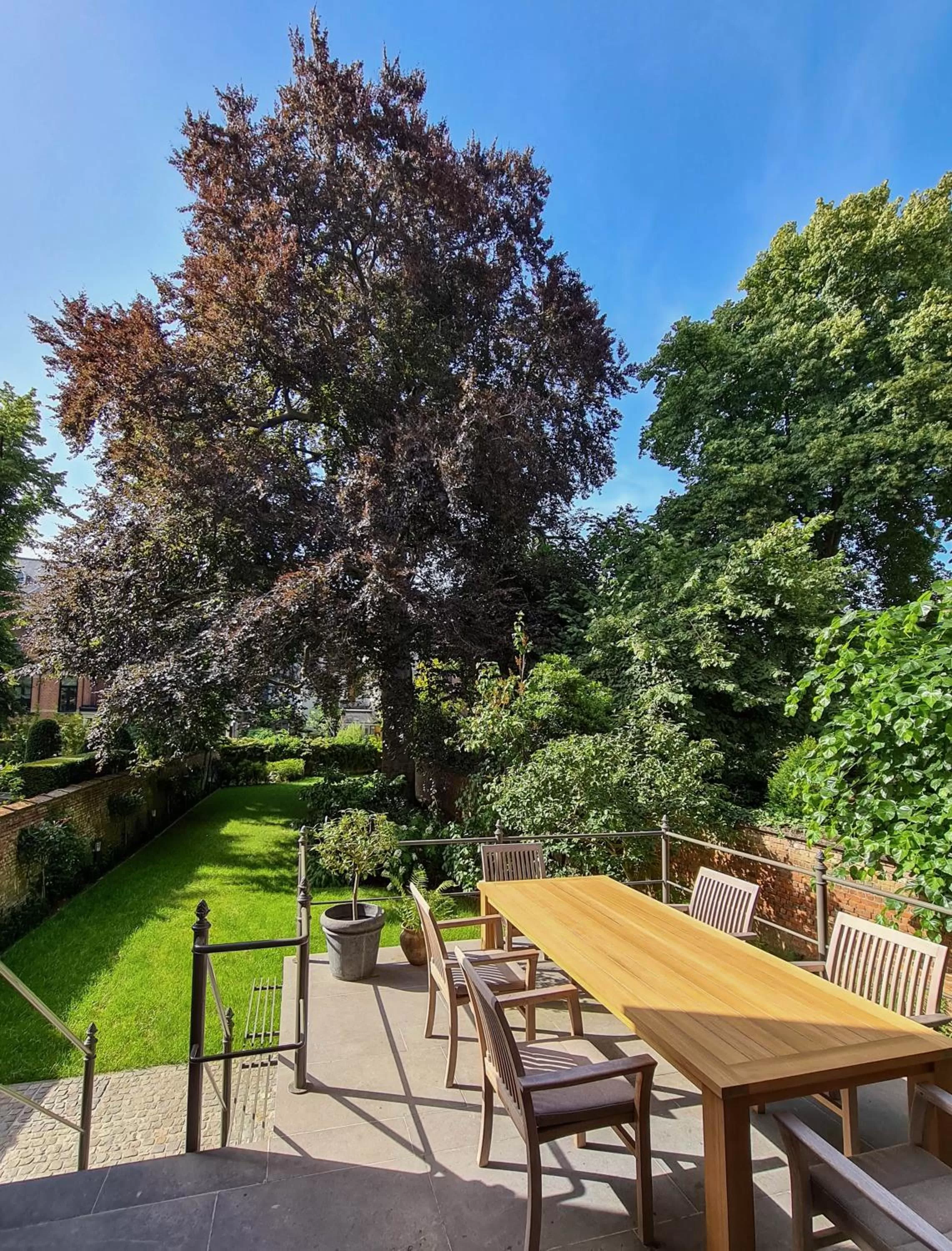 Garden in The Old Beech