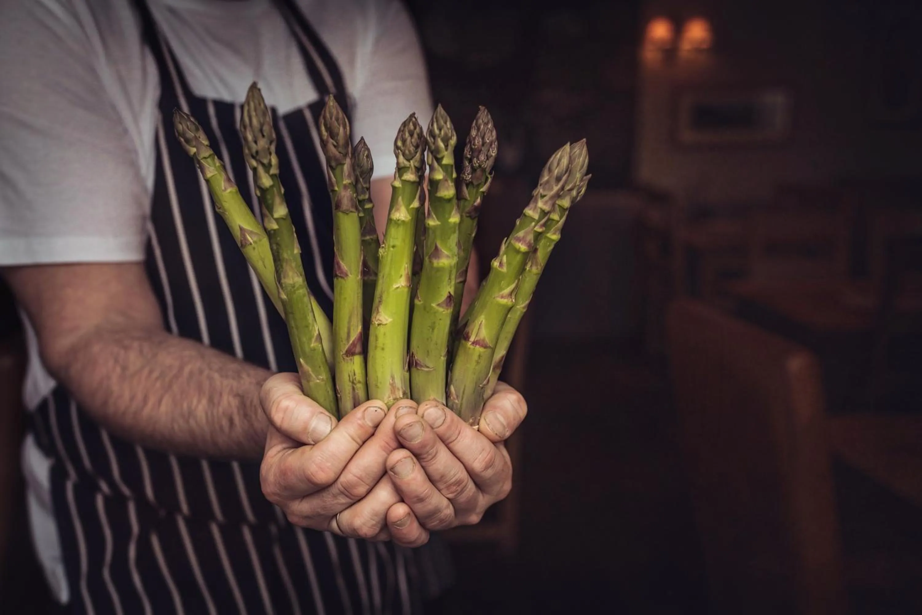 Food close-up in Tweedies Bar and Lodge