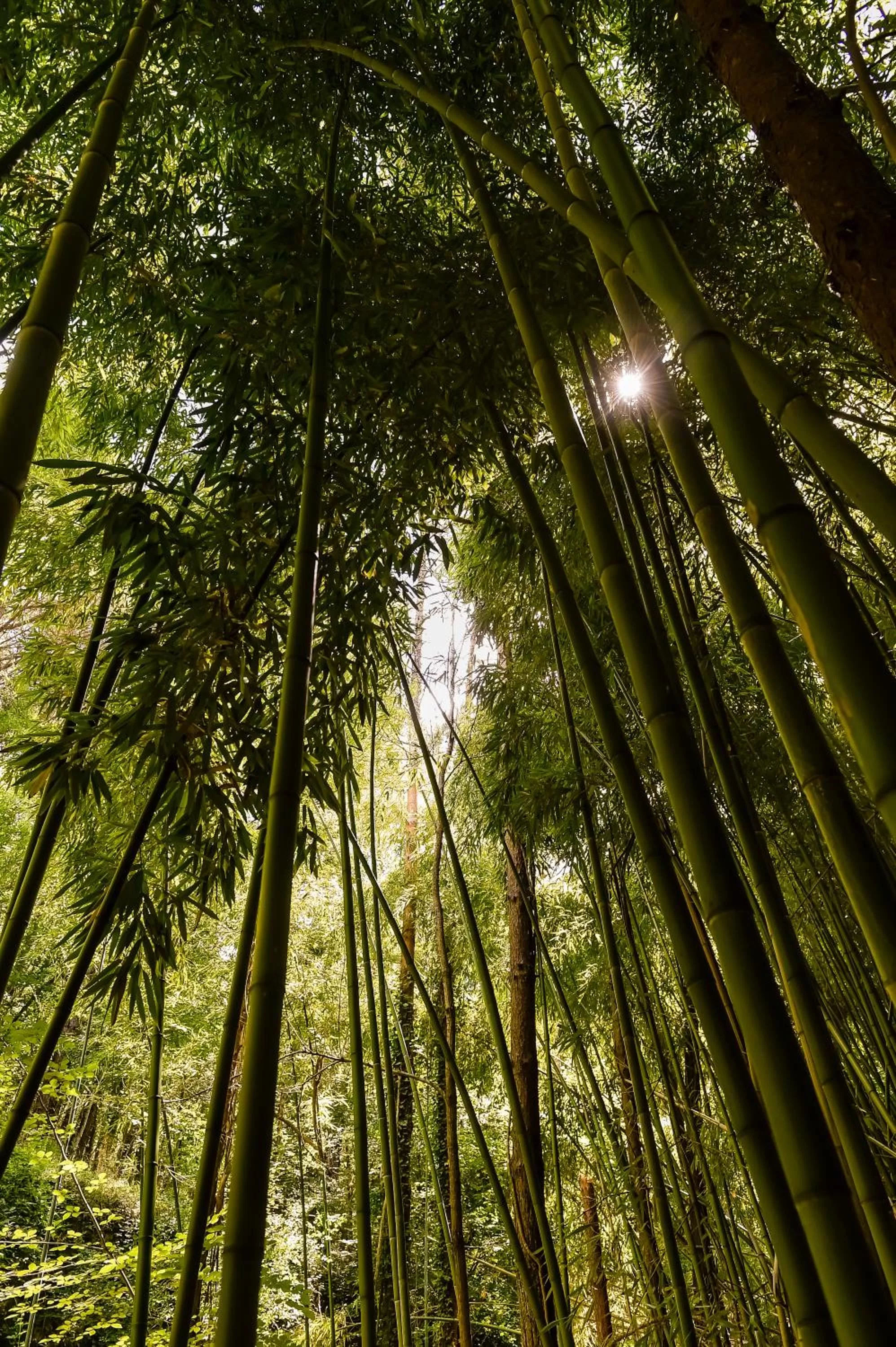 View (from property/room) in Domaine verte vallée