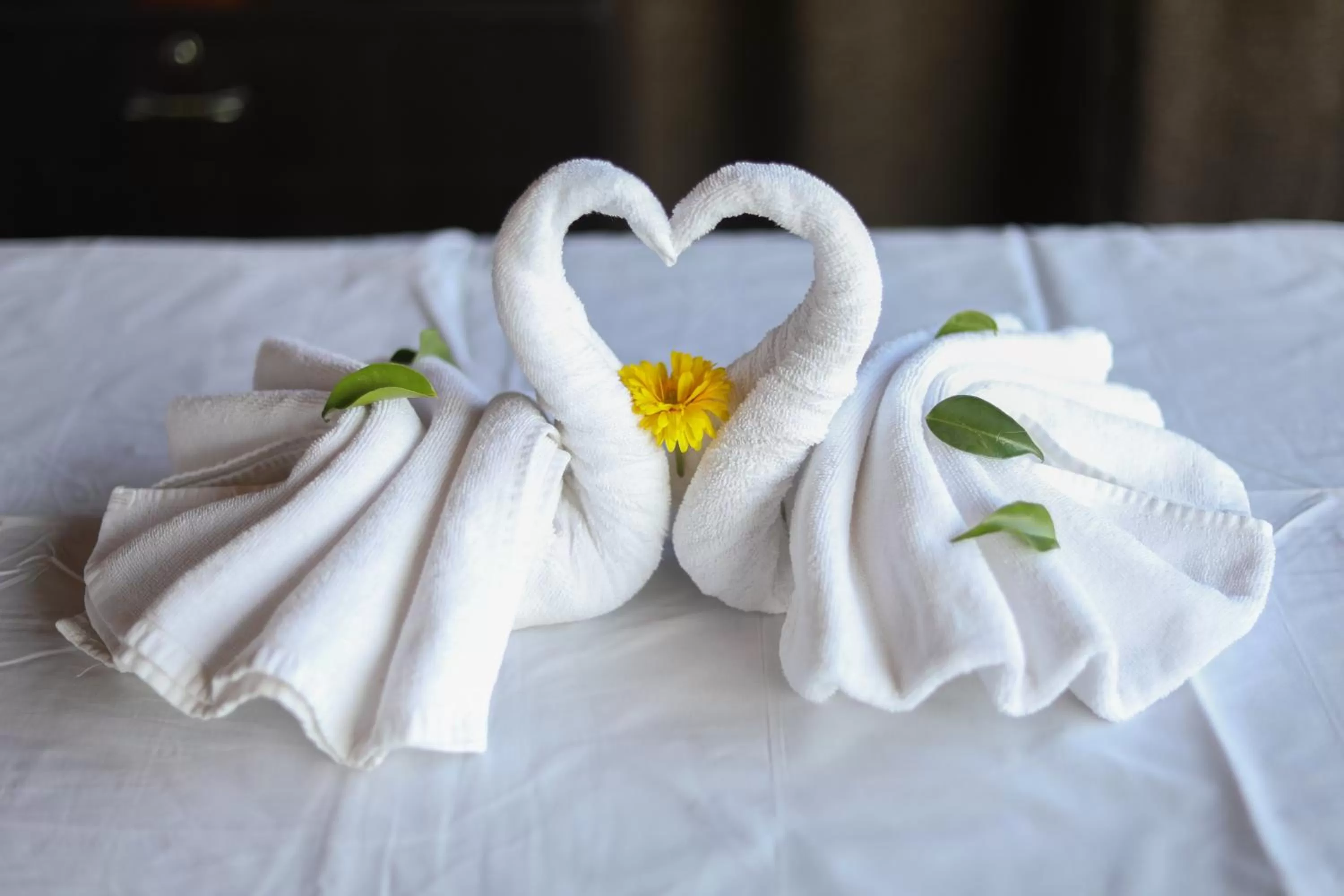 Spa and wellness centre/facilities in Bella Vista Mahabaleshwar