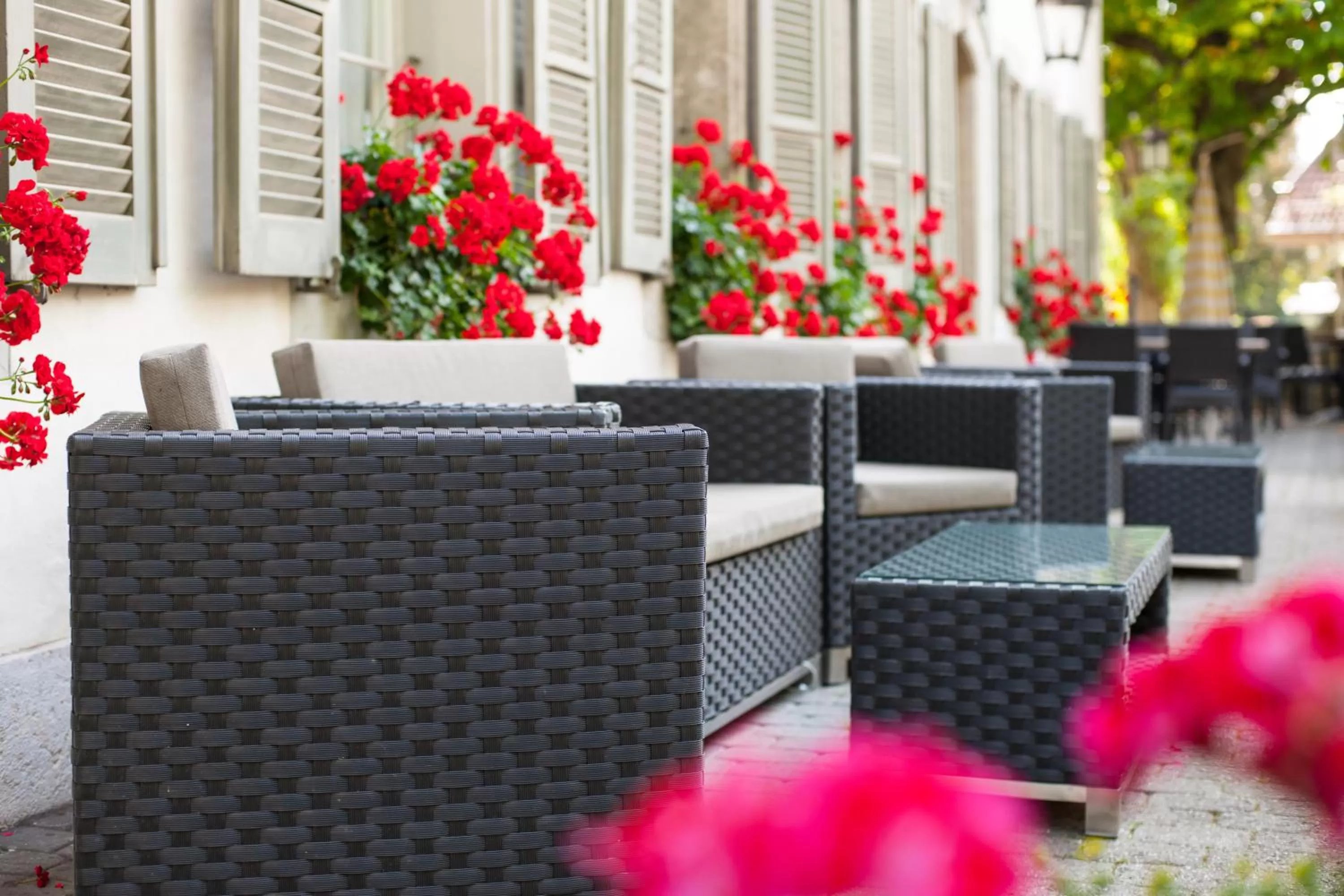 Balcony/Terrace in SEELANDHOTEL Weisses Kreuz