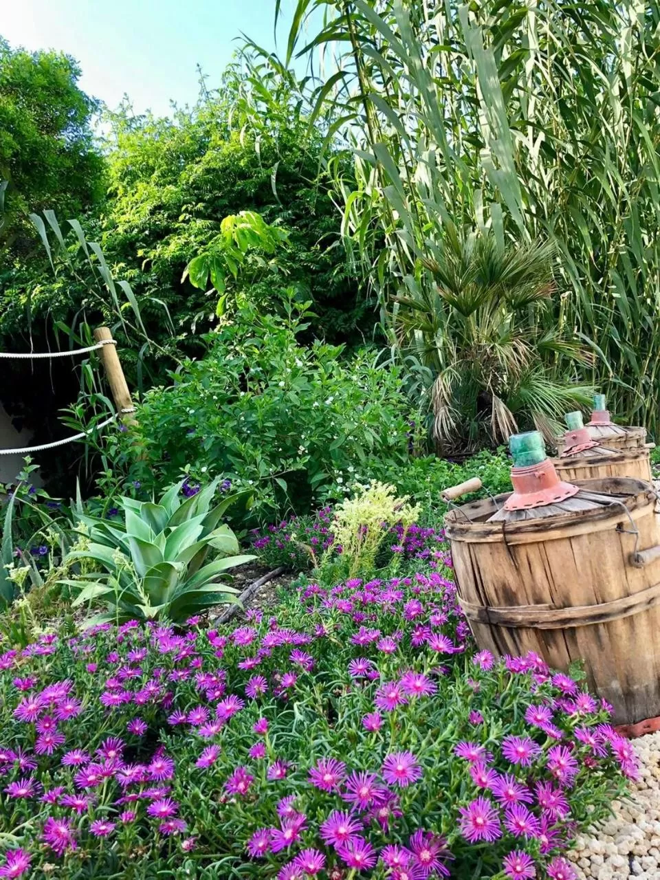 Bella Colina I Vintage Hotel 1953