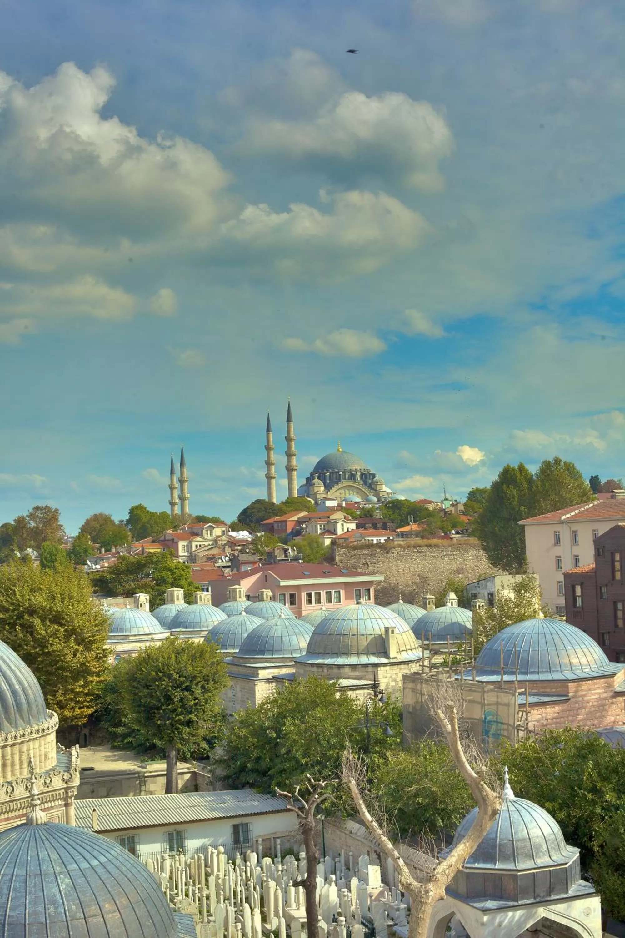 Area and facilities in Grand Hotel Gulsoy Old City