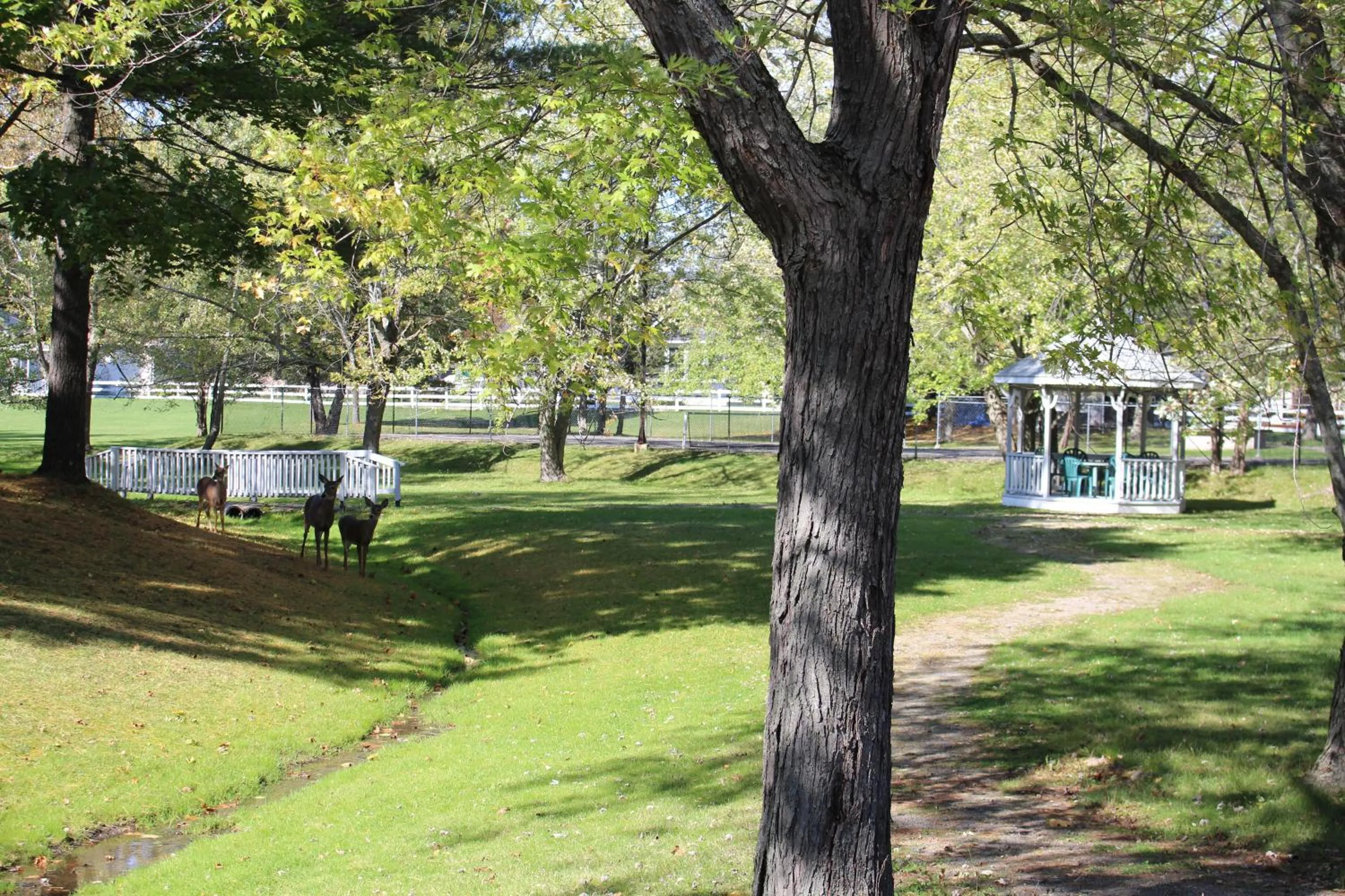 Area and facilities in Colonial Resort-1000Islands