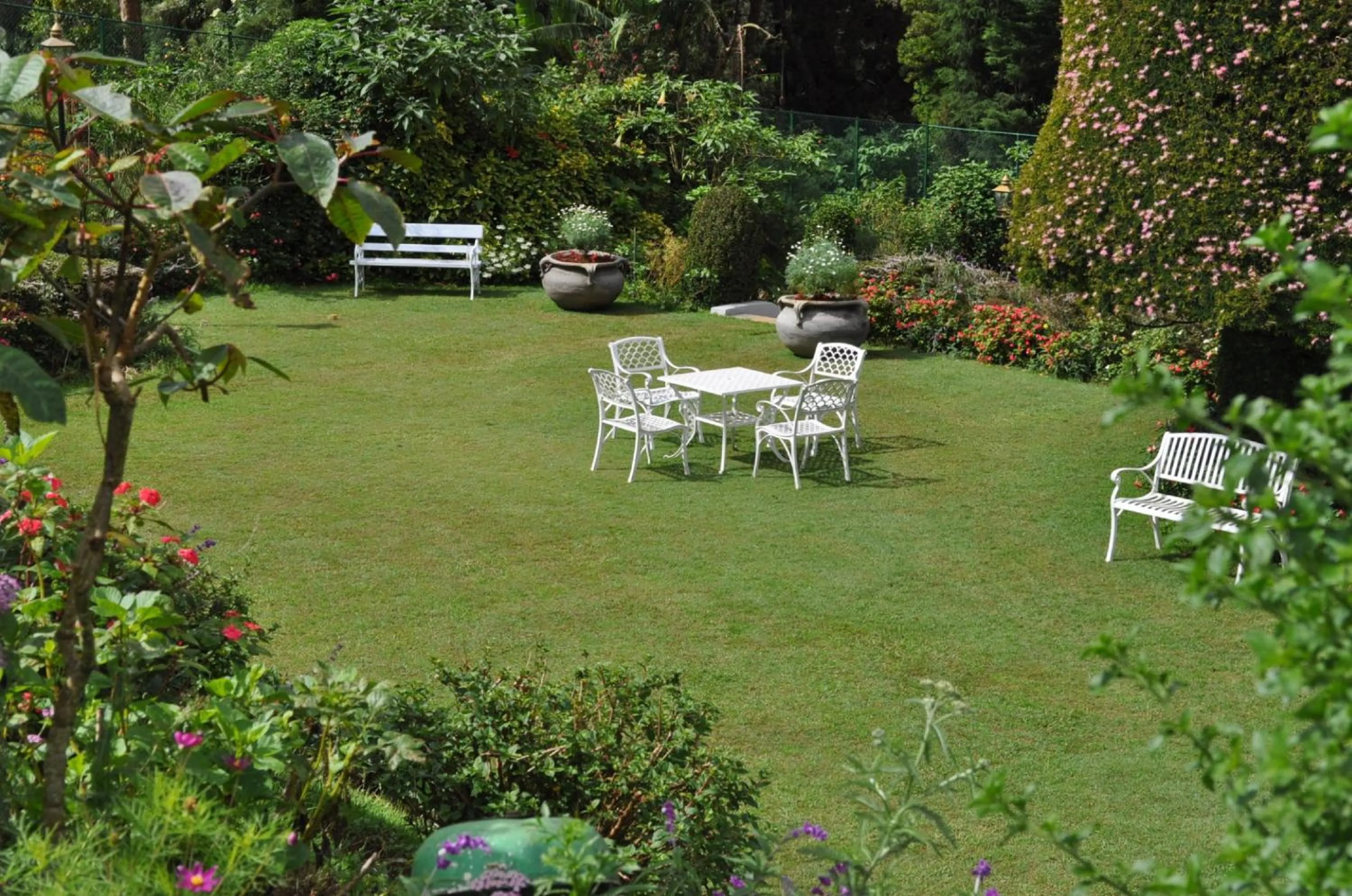 Garden in Royal Cocoon - Nuwara Eliya