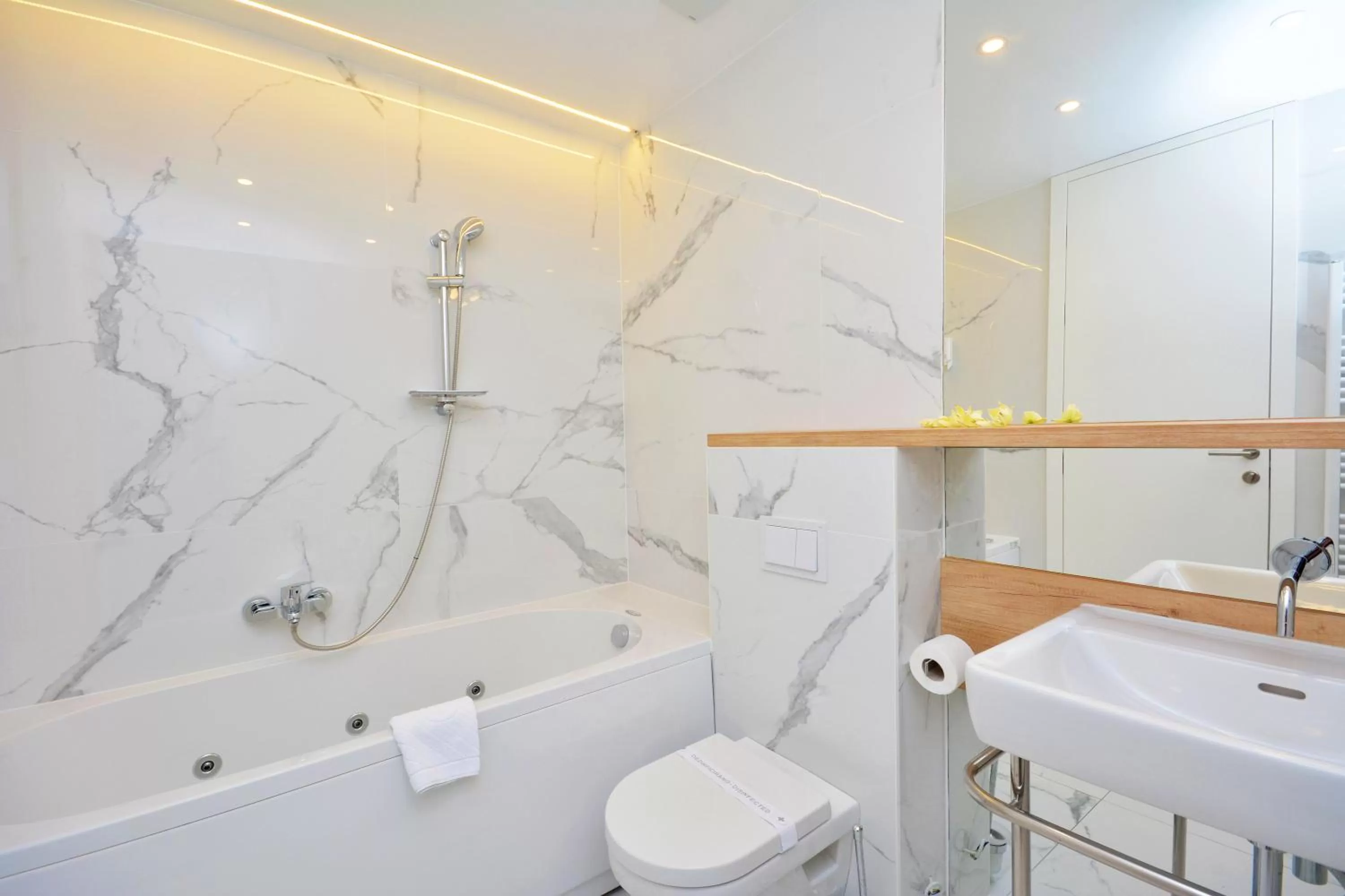 Toilet in Hotel San Antonio