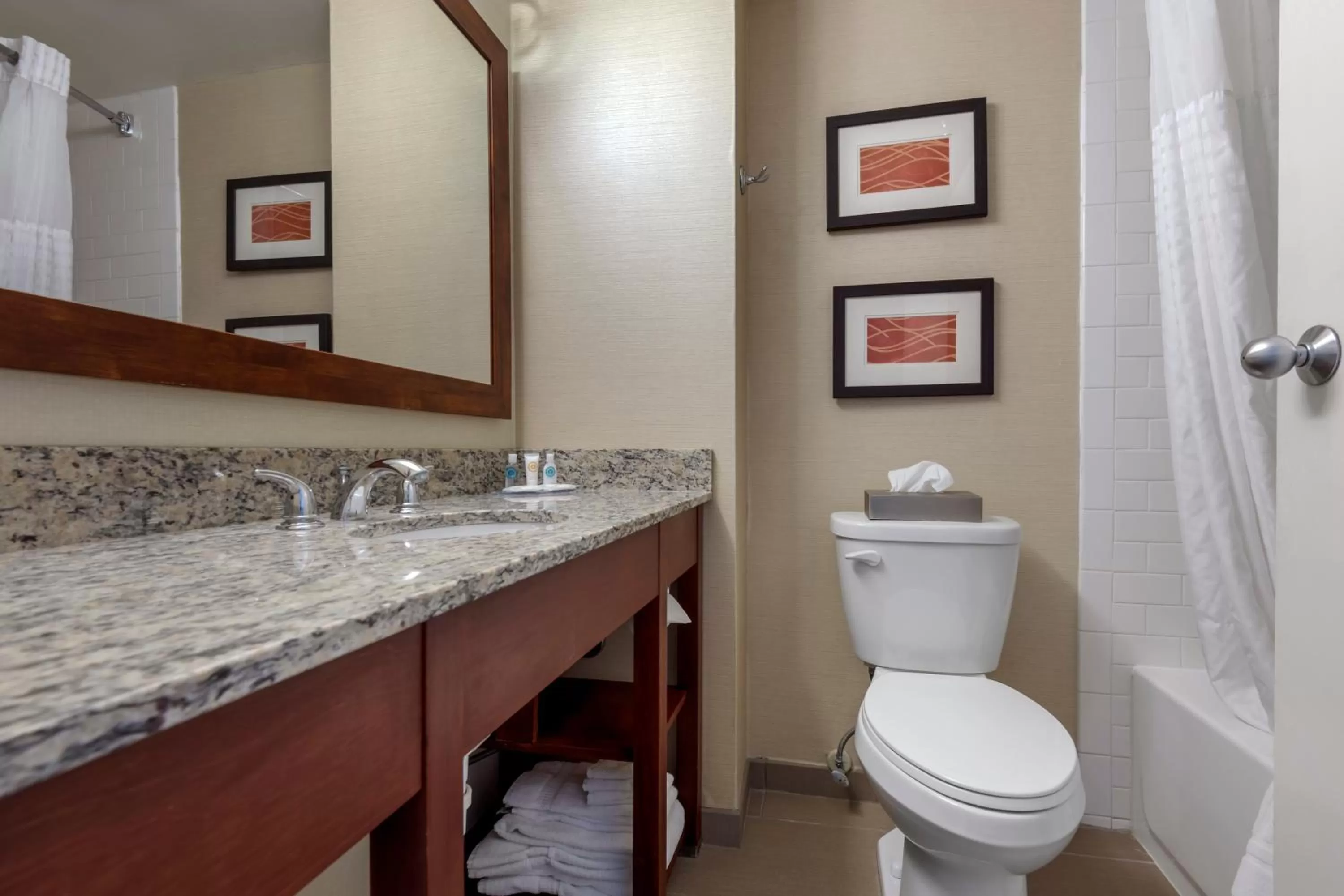 Bathroom in Comfort Inn The Pointe